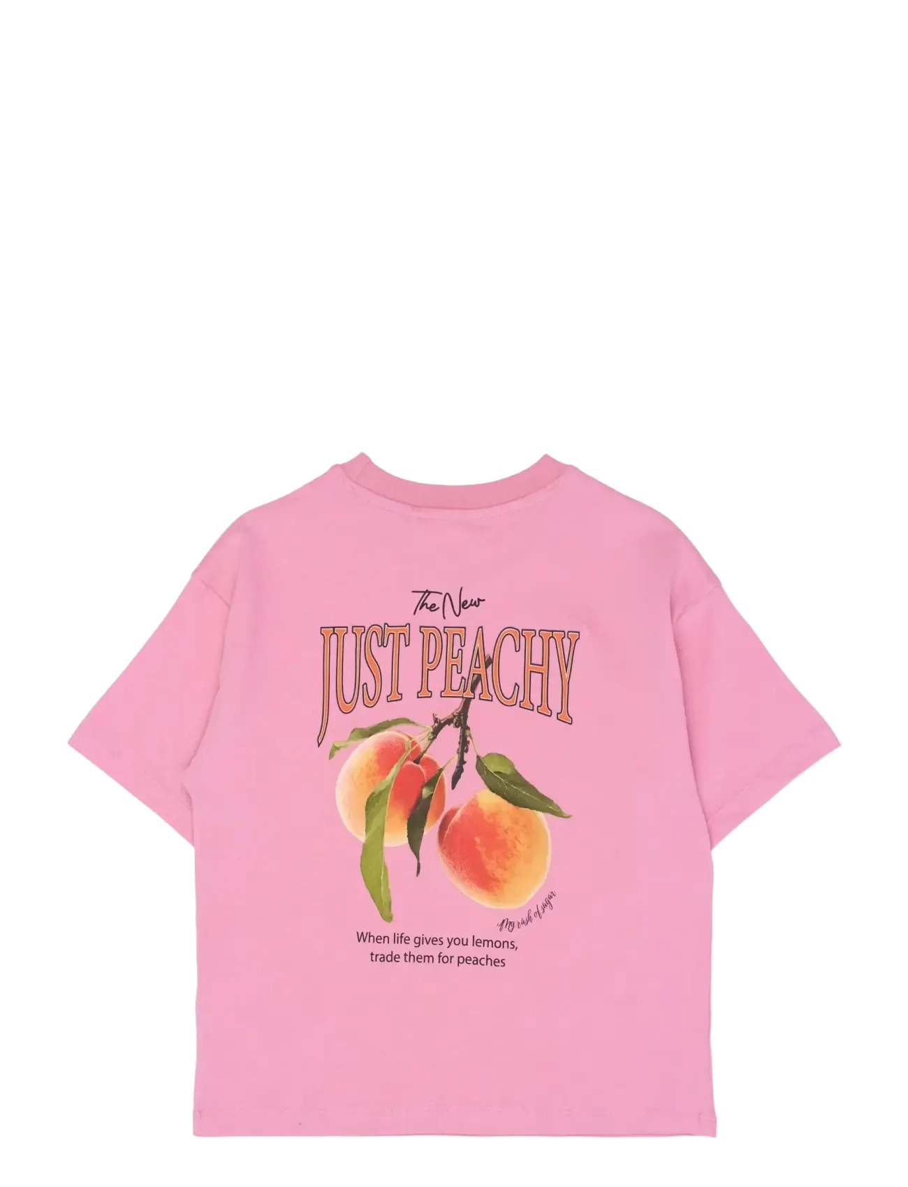 The New - TNTenna OS S_S Tee - kortermede t-skjorter - cashmere rose - 2