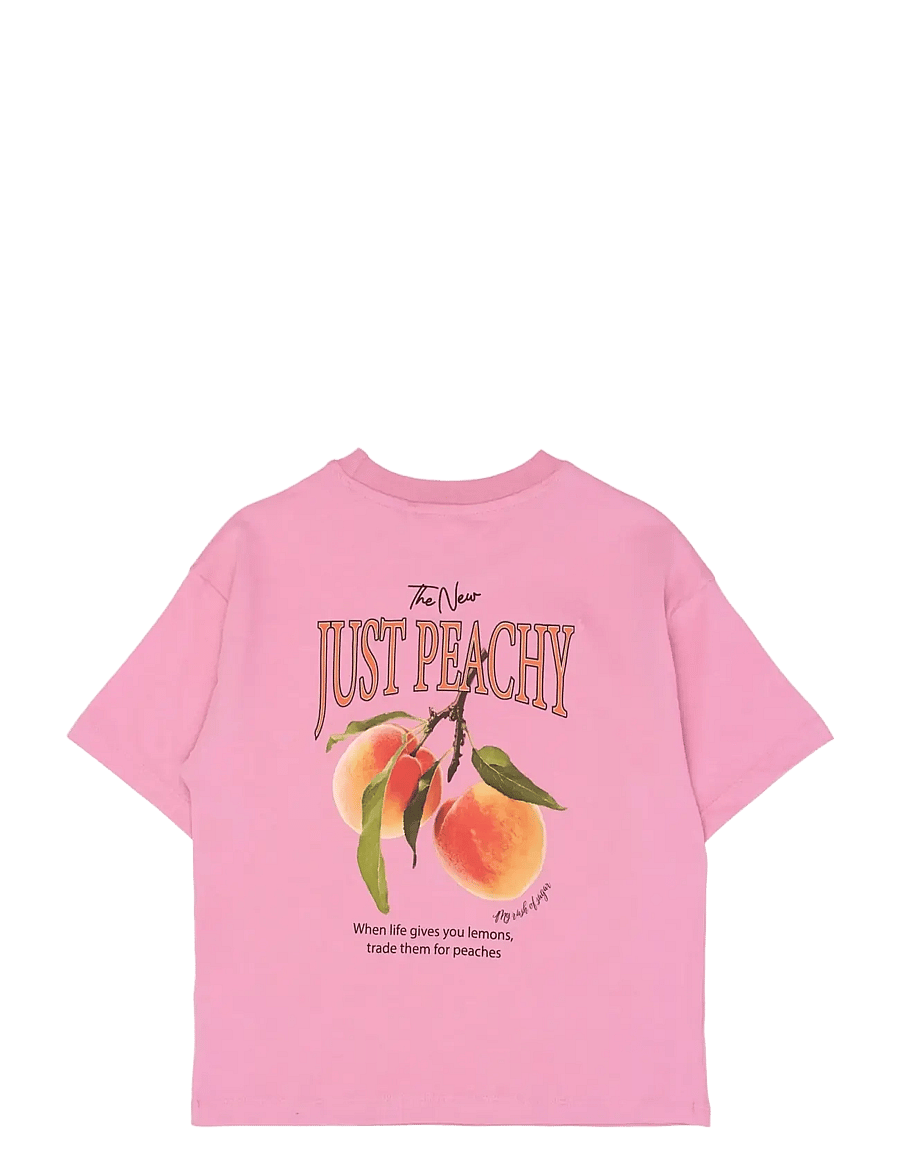 The New - TNTenna OS S_S Tee - kortermede t-skjorter - cashmere rose - 2