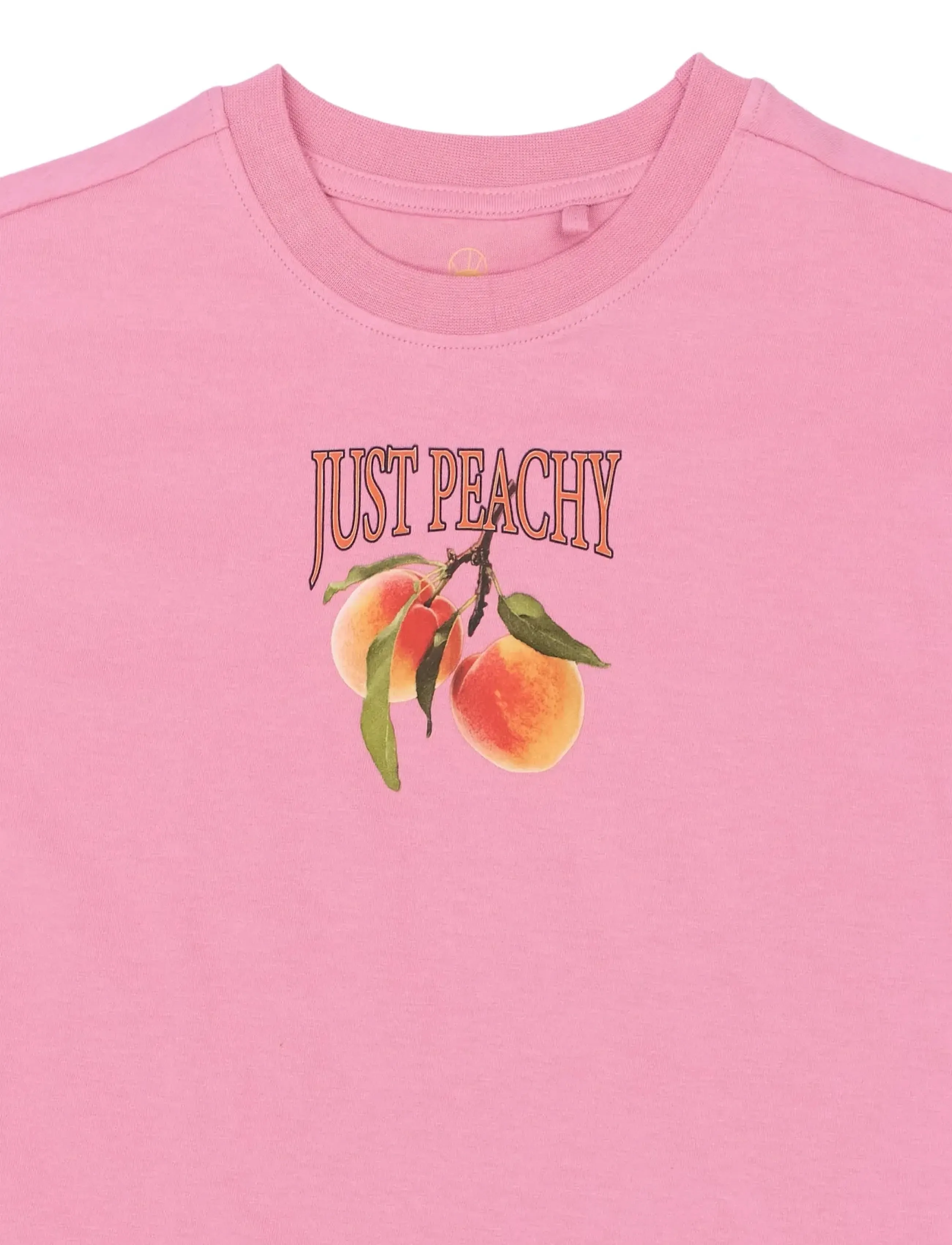 The New - TNTenna OS S_S Tee - kortermede t-skjorter - cashmere rose - 5