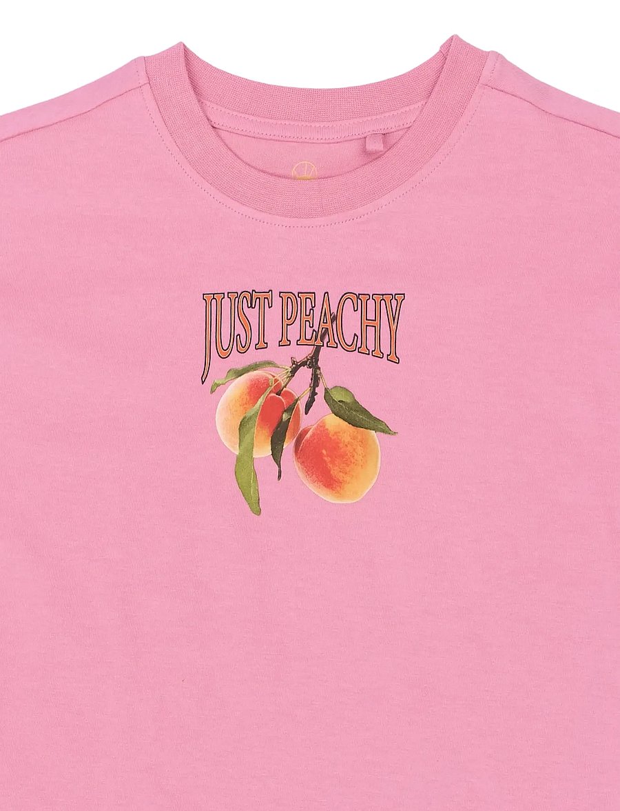 The New - TNTenna OS S_S Tee - kortermede t-skjorter - cashmere rose - 5