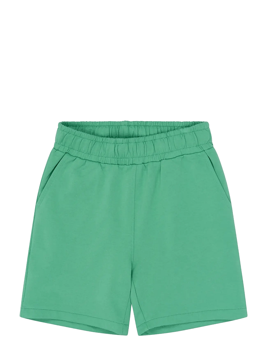 The New - TNTitus Sweat Shorts - sweatshorts - crÉme de menthe - 1