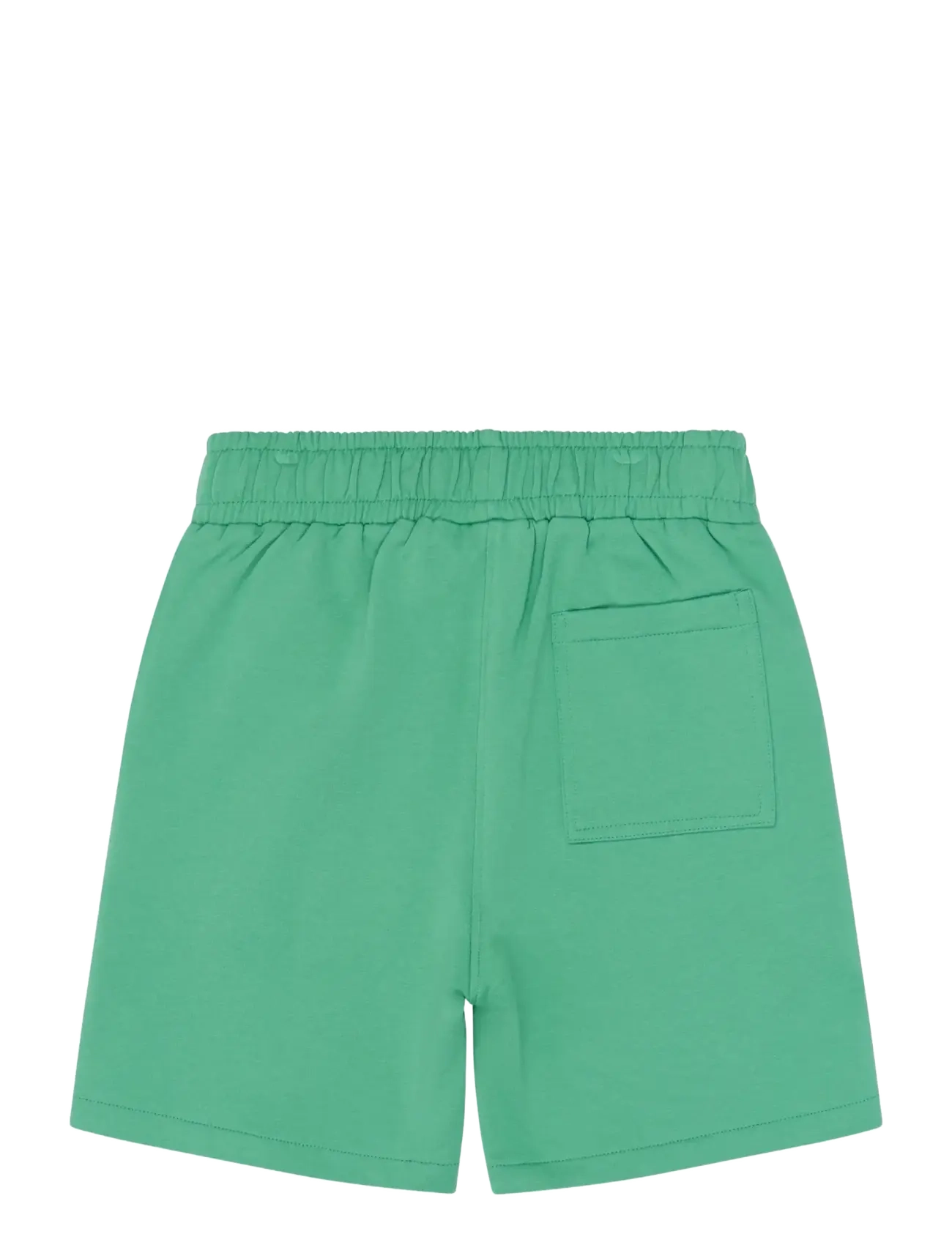 The New - TNTitus Sweat Shorts - sweatshorts - crÉme de menthe - 2