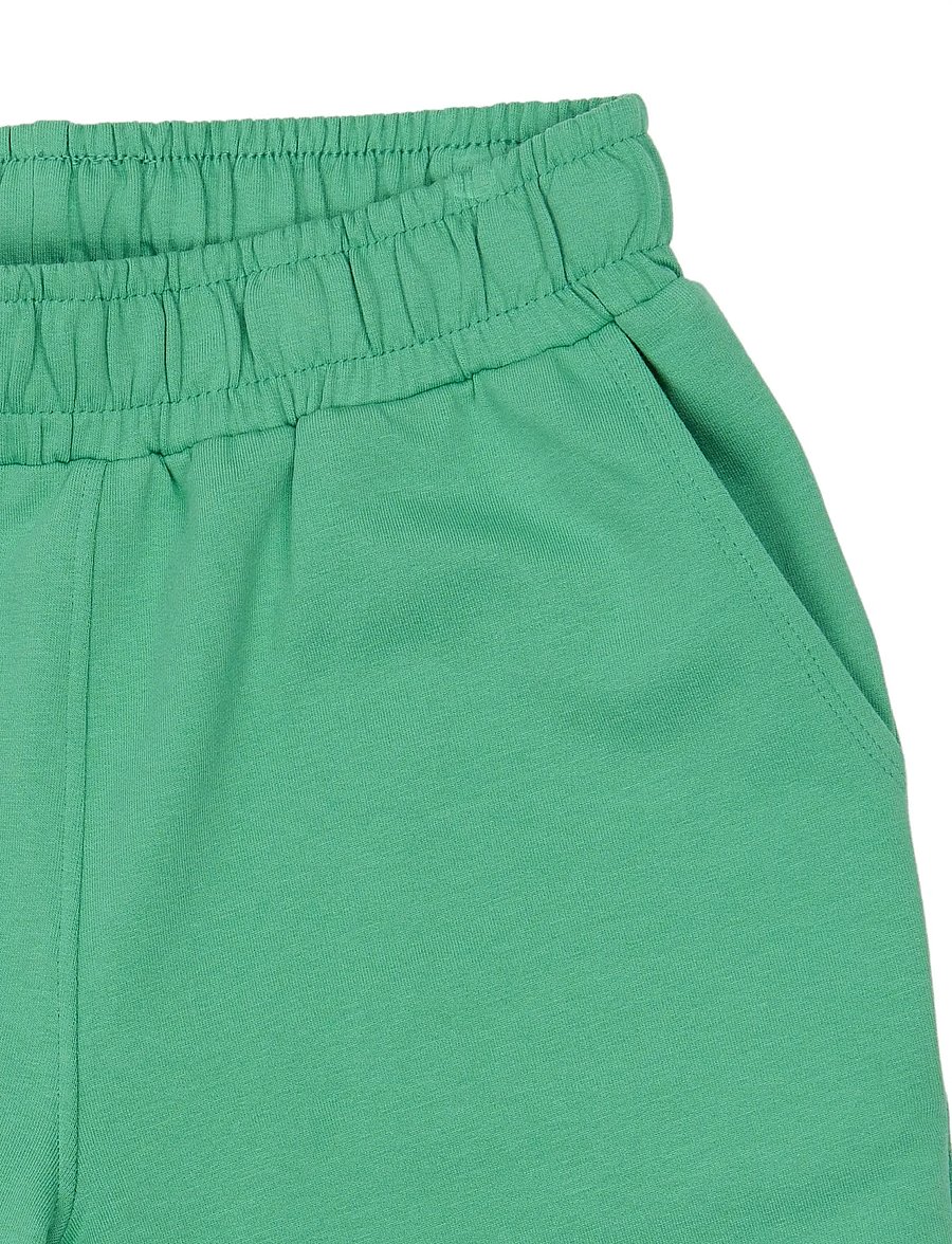 The New - TNTitus Sweat Shorts - sweatshorts - crÉme de menthe - 4