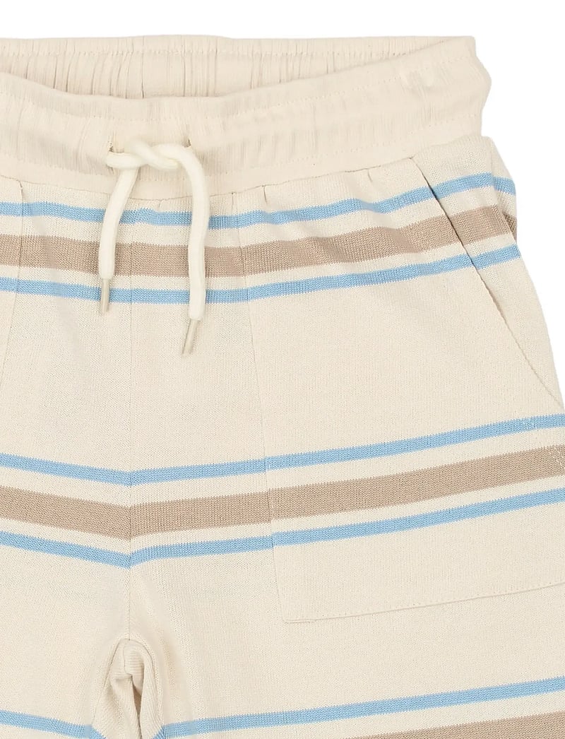 The New - TNThor Shorts - lühikesed dressipüksid - multi striped - 5