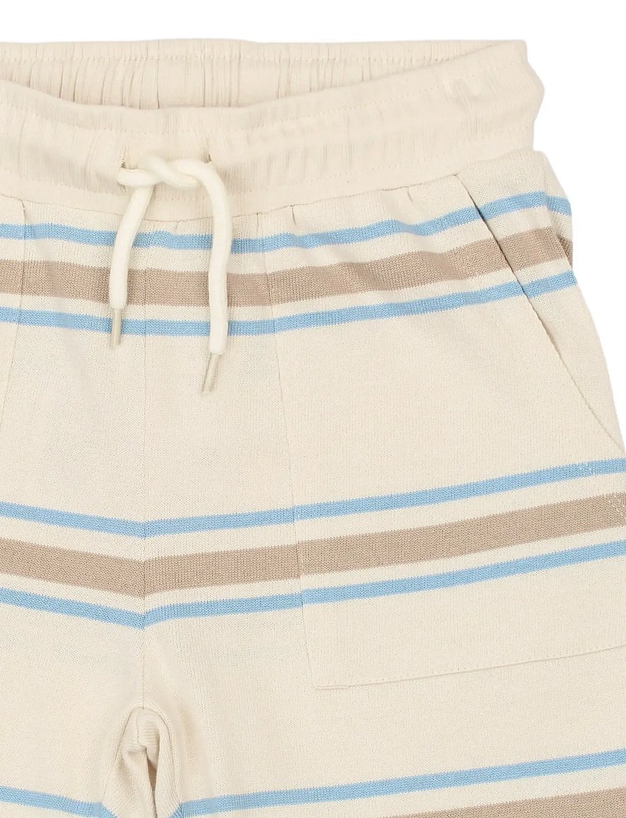 The New - TNThor Shorts - collegeshortsit - multi striped - 5