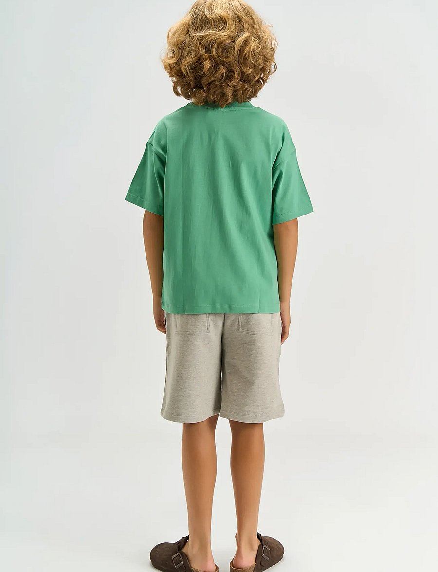 The New - TNTimothy Sweat Shorts - lühikesed dressipüksid - light grey melange - 4