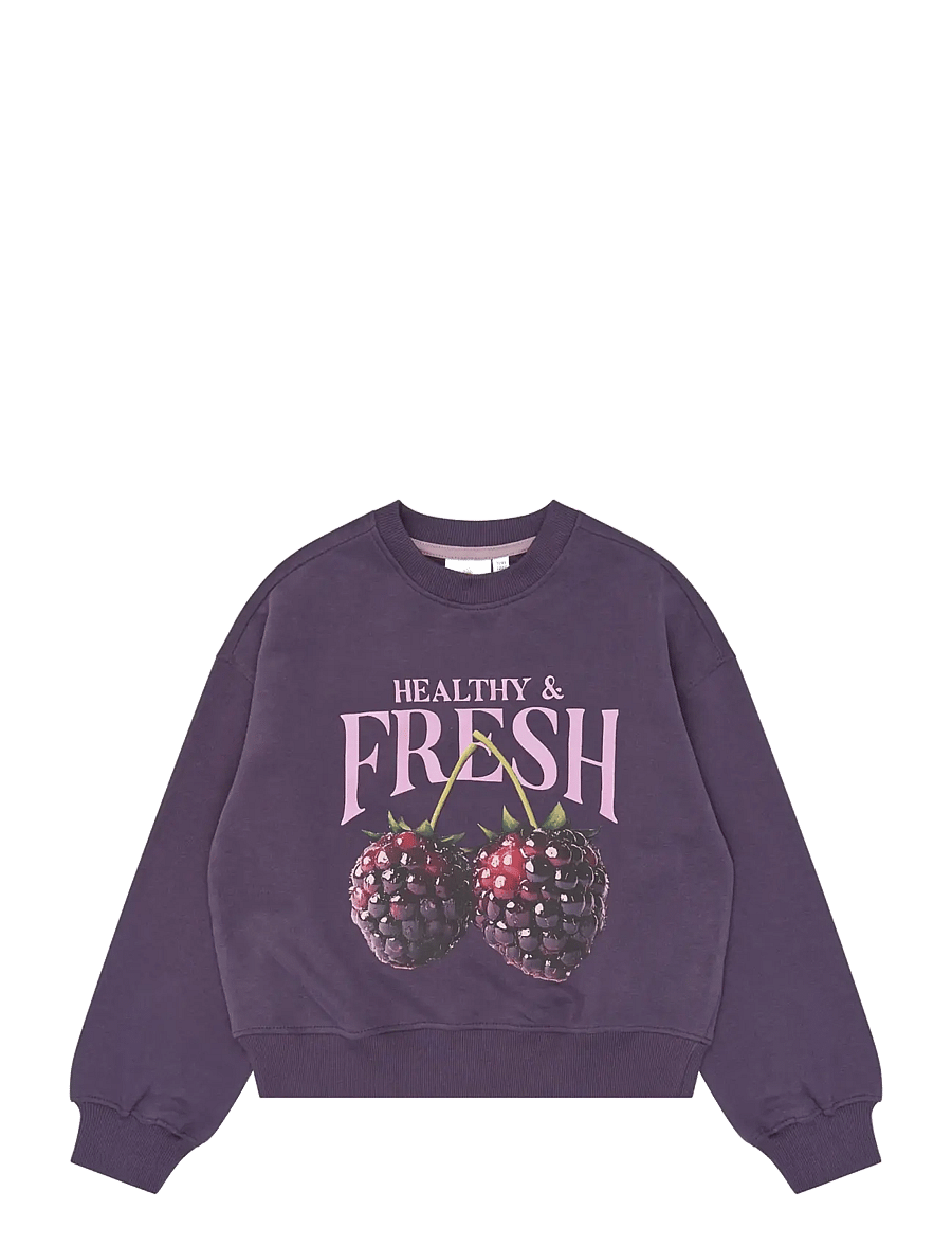 The New - TNVianca OS Sweatshirt - einkaufen nach alter von - sweet grape tn - 1