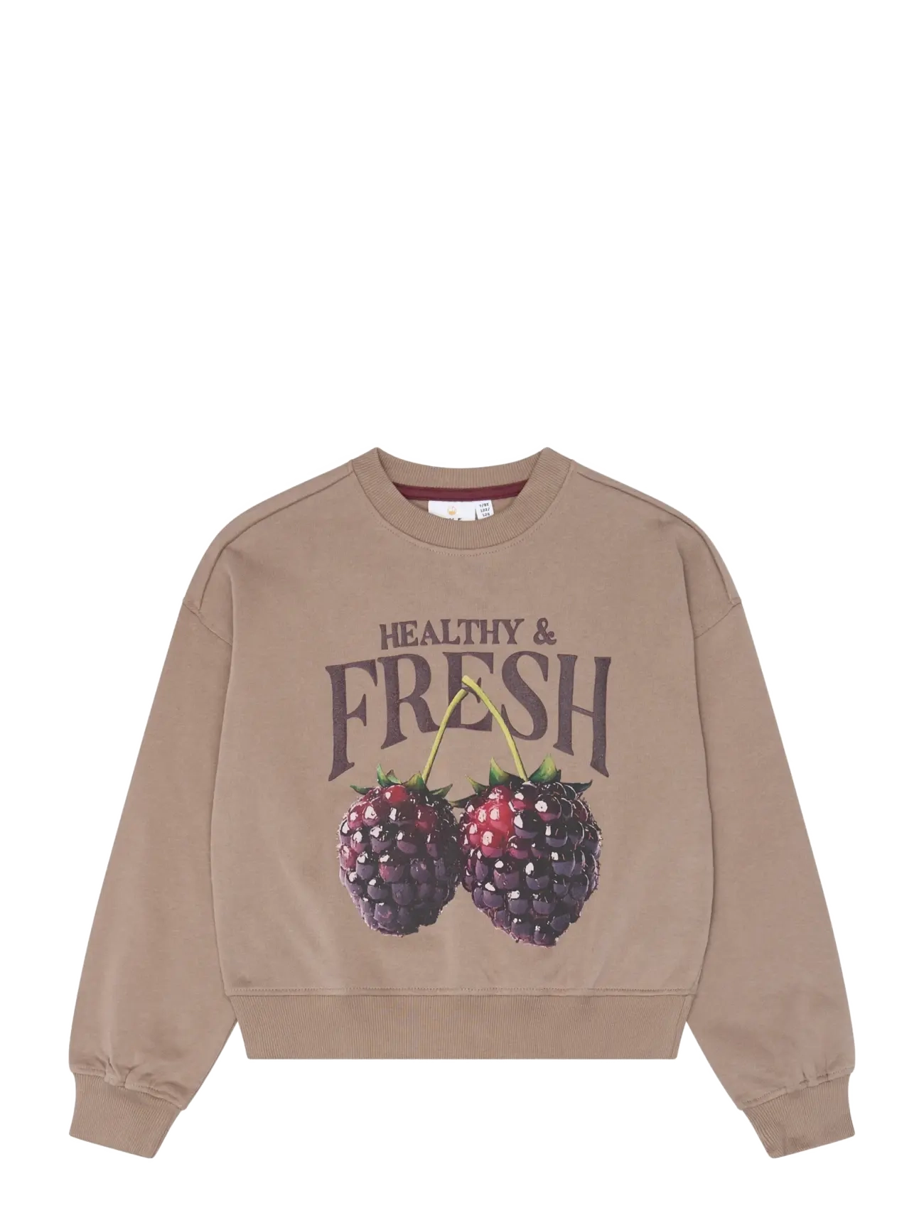 The New TNVianca OS Sweatshirt - The New - TAUPE GRAY TN / brown
