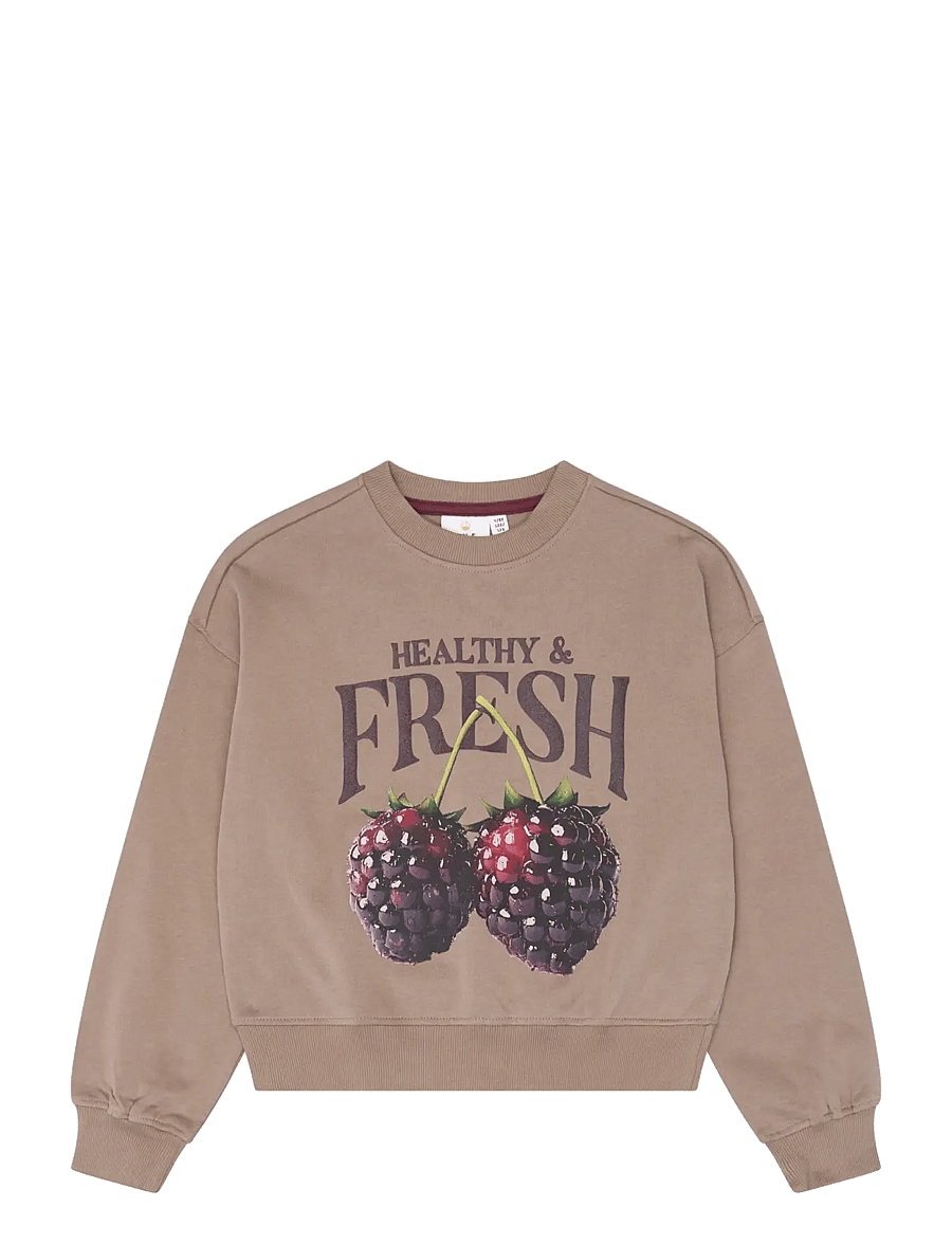 The New - TNVianca OS Sweatshirt - einkaufen nach alter von - taupe gray tn - 1