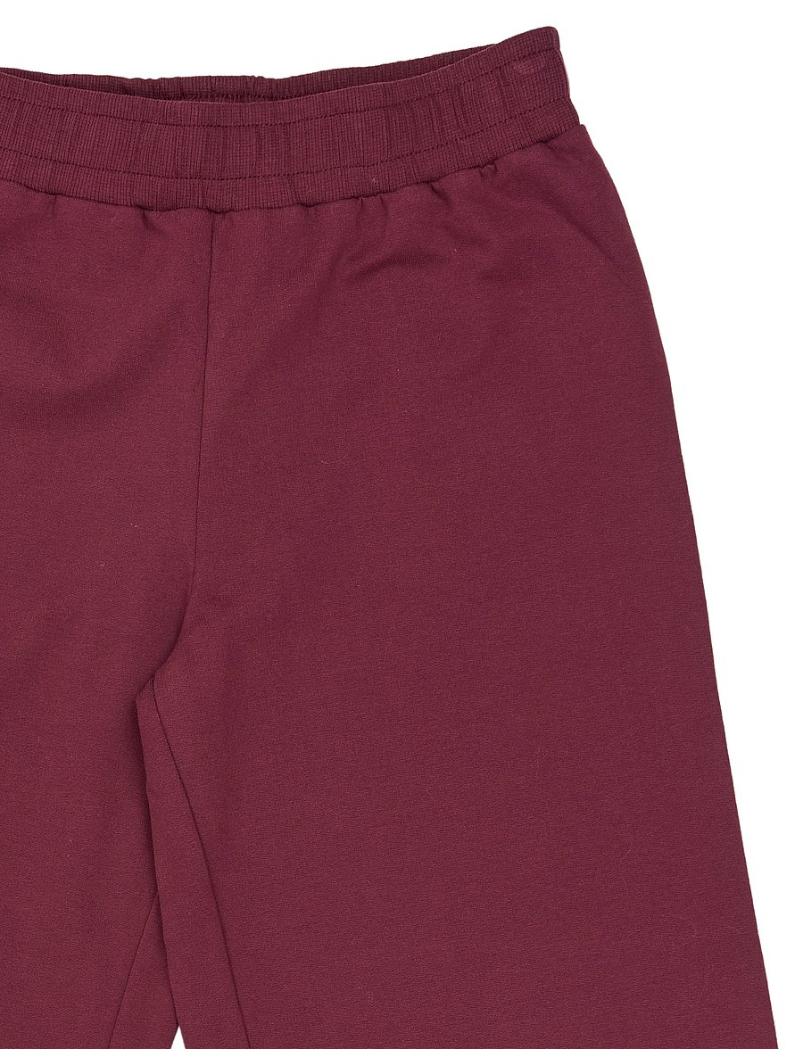 The New - TNVonnie Sweatpants - burgundy tn - 2