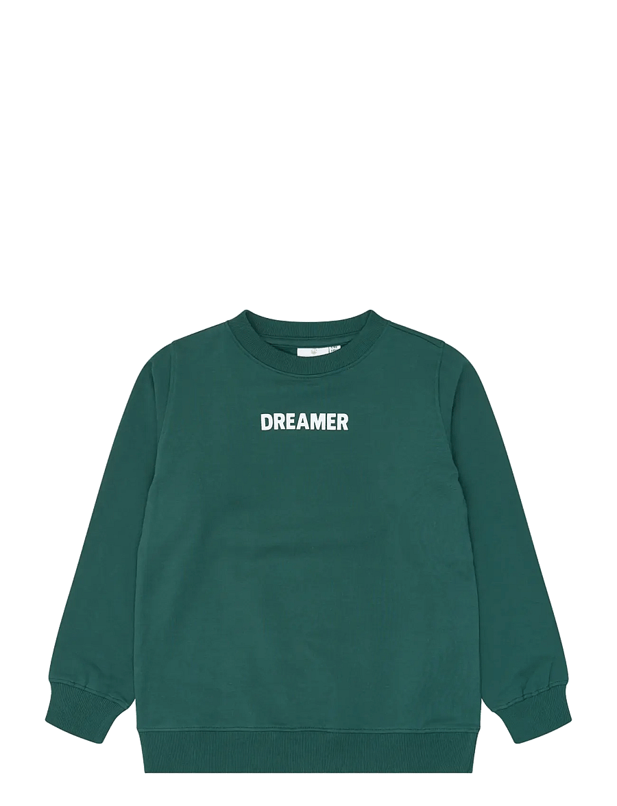 The New - TNVillard Sweatshirt - sweatshirts - june bug - 1