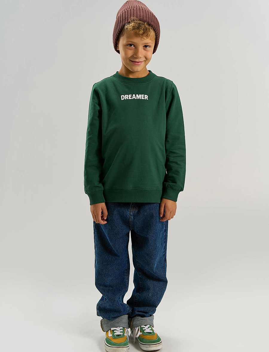 The New - TNVillard Sweatshirt - sweatshirts - june bug - 0