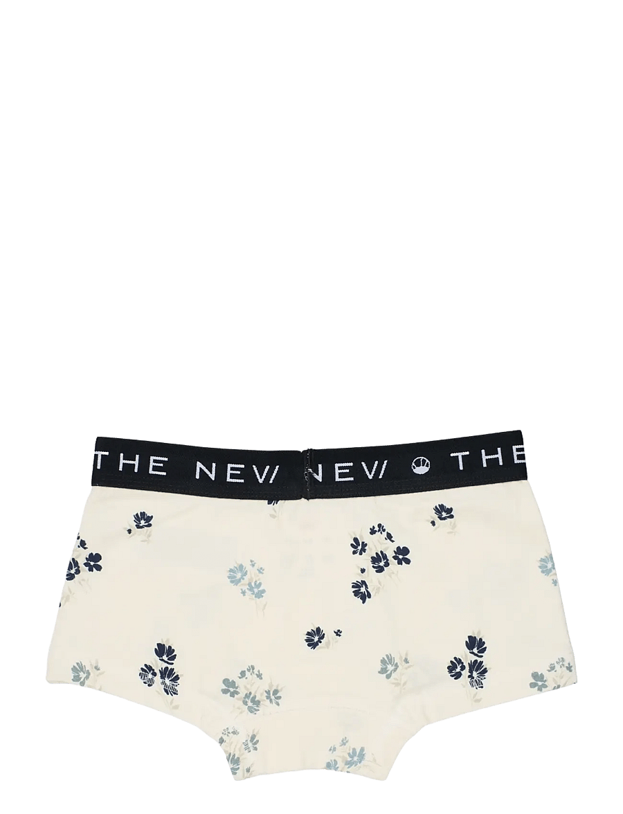 The New - TNTHE NEW Hipsters 2-Pack - underbukser - ashley blue - 2