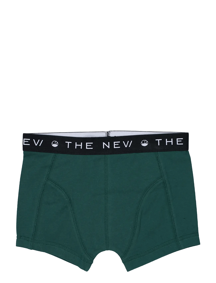 The New - TNTHE NEW Boxers 2-Pack - underbukser - june bug - 3