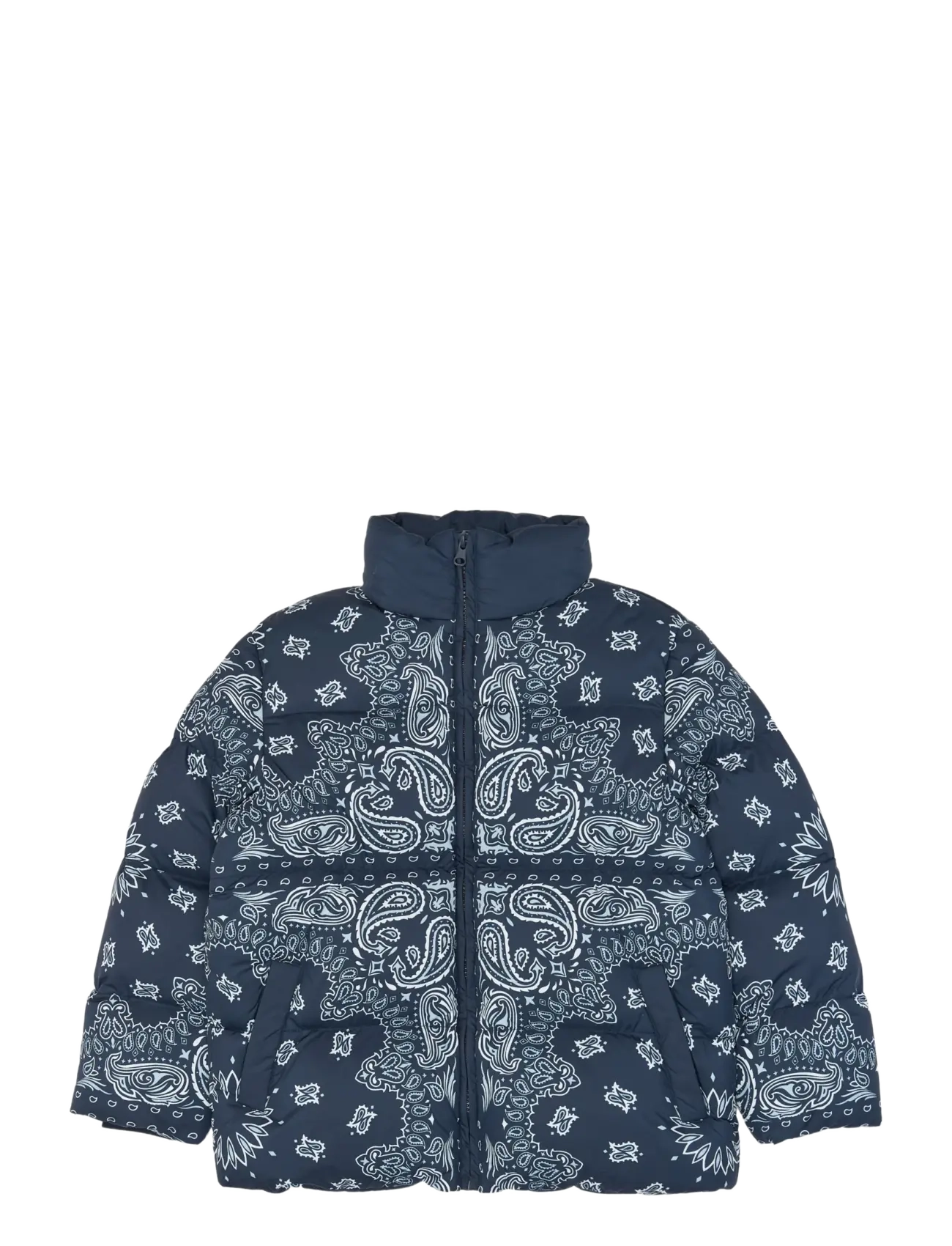 The New TNUllvar Puffer Jacket - Termojackor - NAVY BLAZER AOP / navy