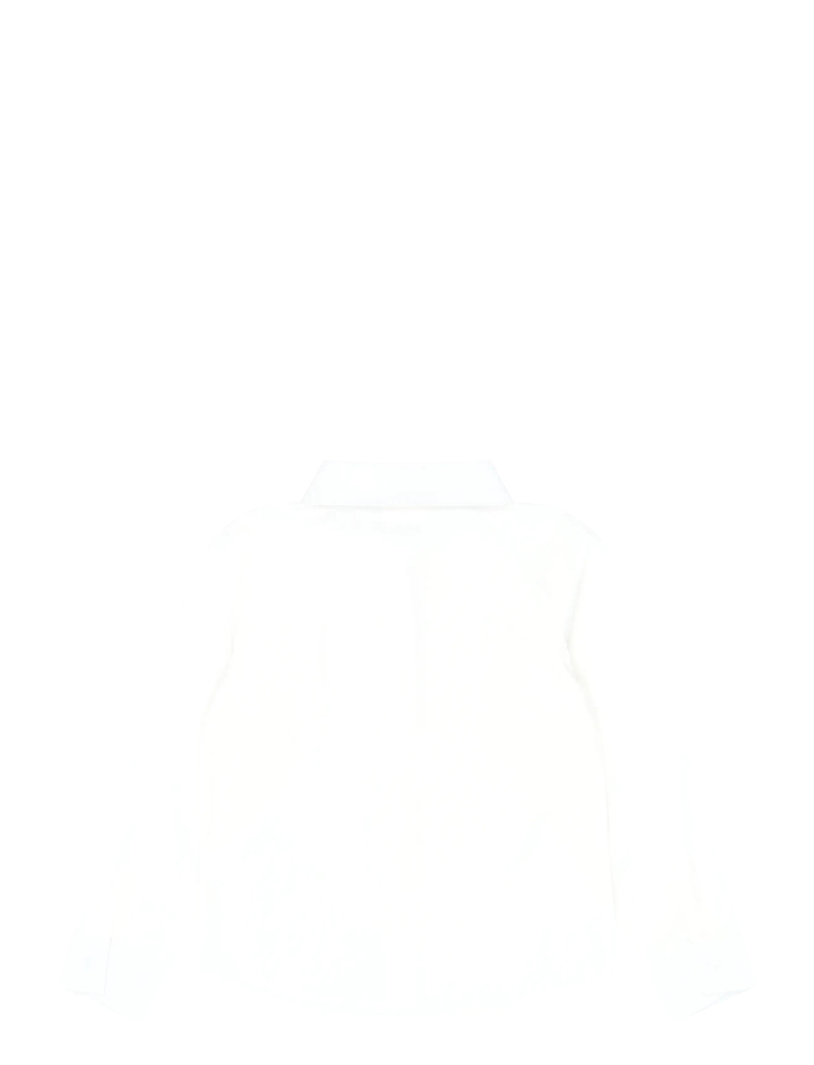 The New - TNYulianna L_S Shirt - krekli ar garām piedurknēm - bright white - 2