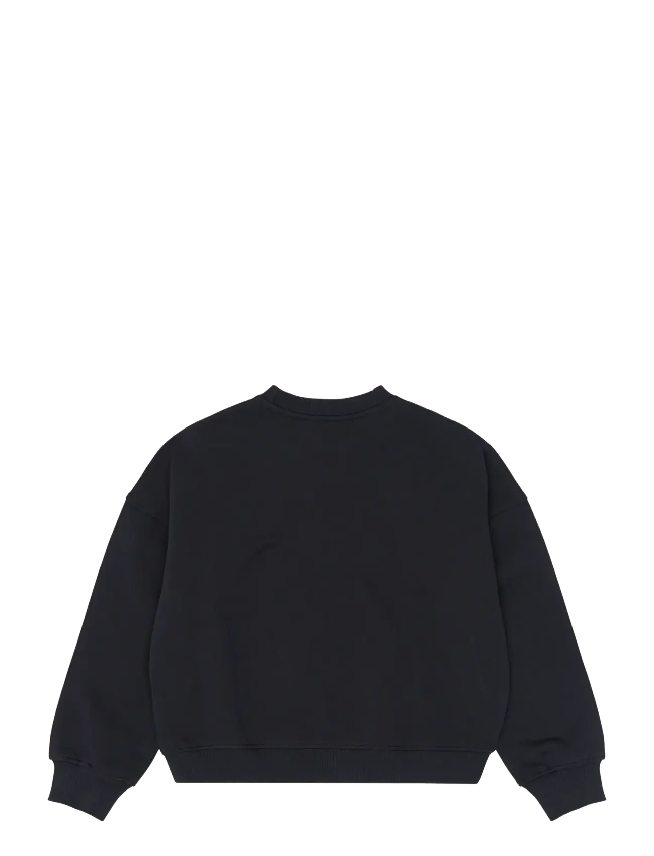 The New - TNYenta EX OS Sweatshirt - dressipluusid - black beauty - 2