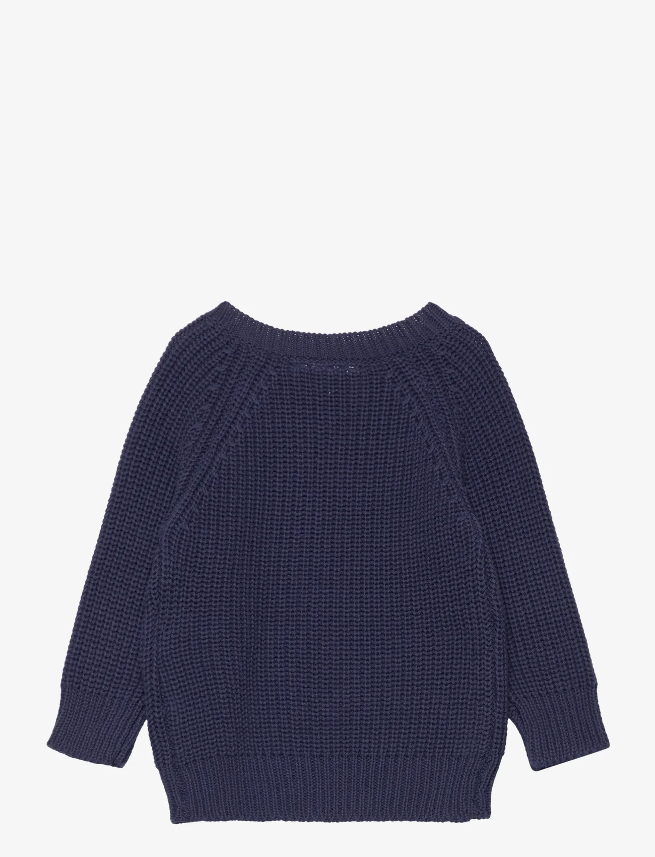 The New - TNSDALEX KNIT PULLOVER - jumpers - mood indigo - 1