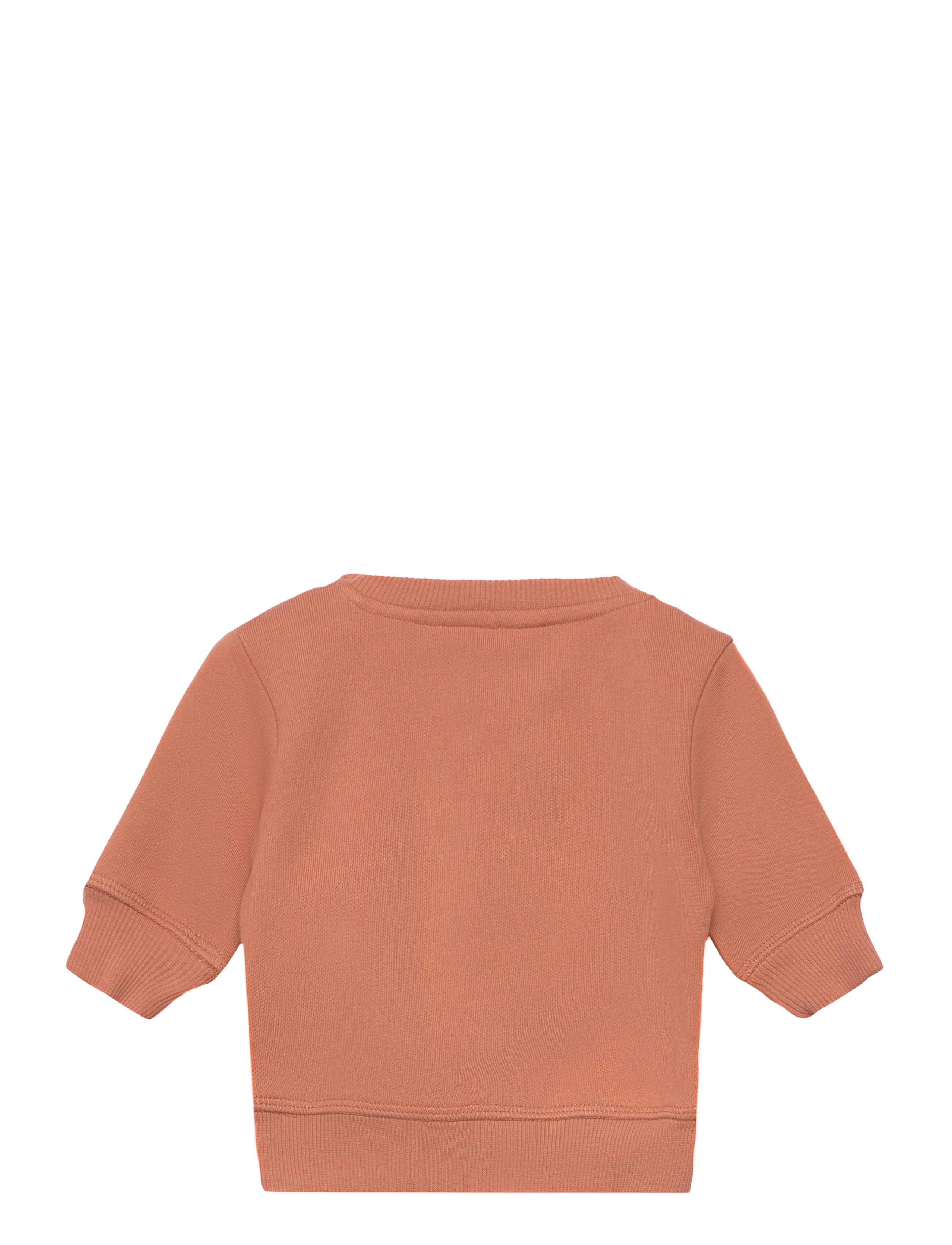 The New - TNSFOLO SWEATSHIRT - toasted nut - 1