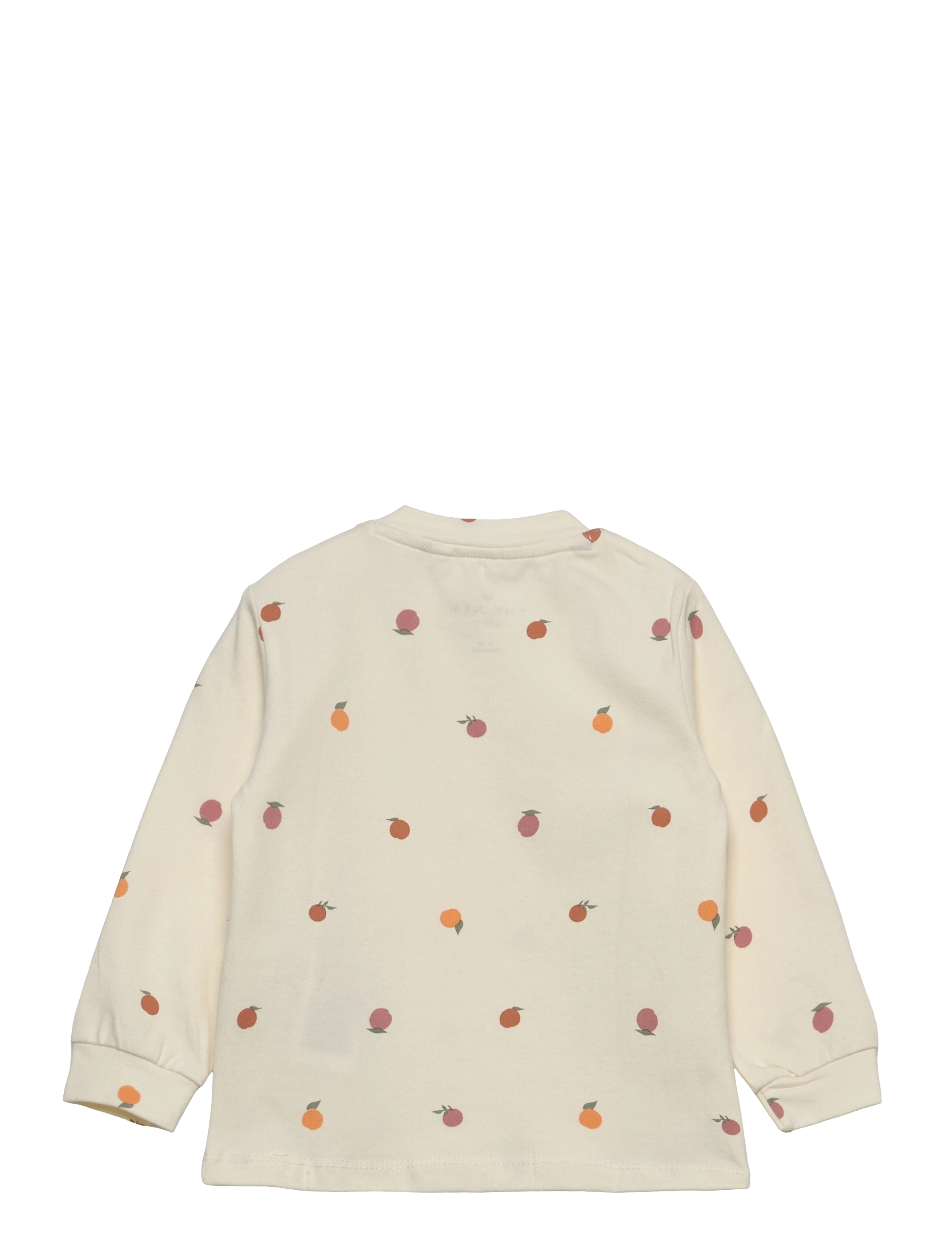 The New - TNSFRUIT L_S TEE - white swan - 1