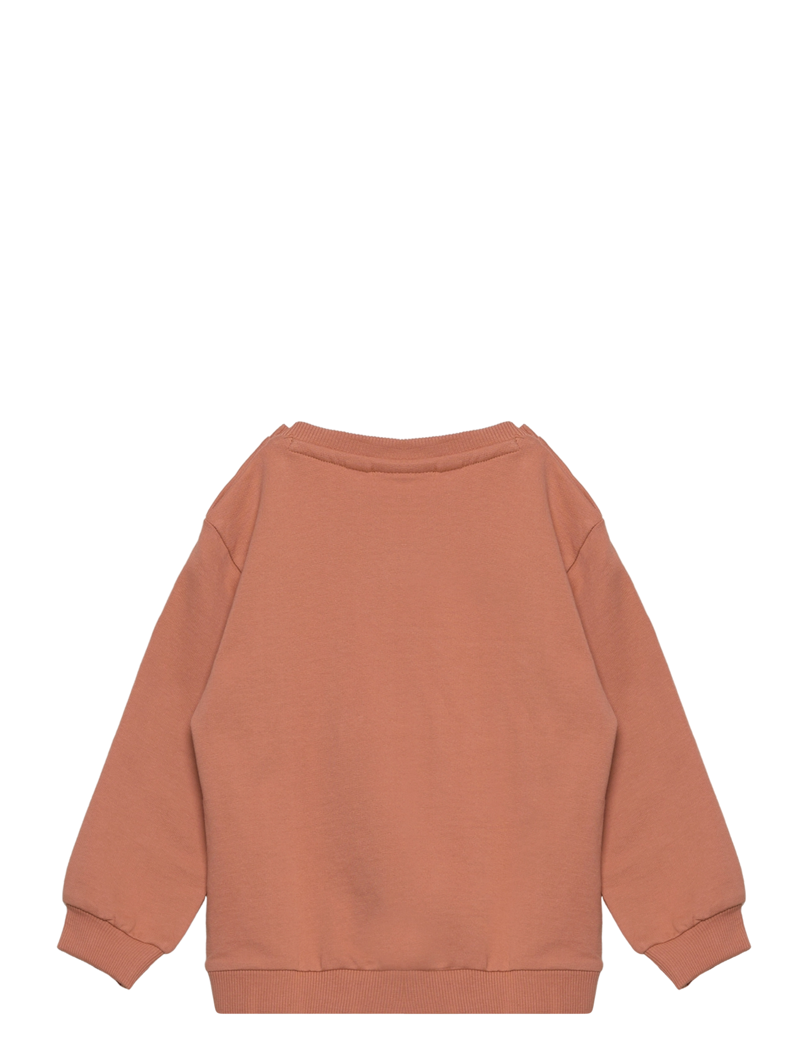 The New - TNSFIBBA SWEATSHIRT - toasted nut - 1