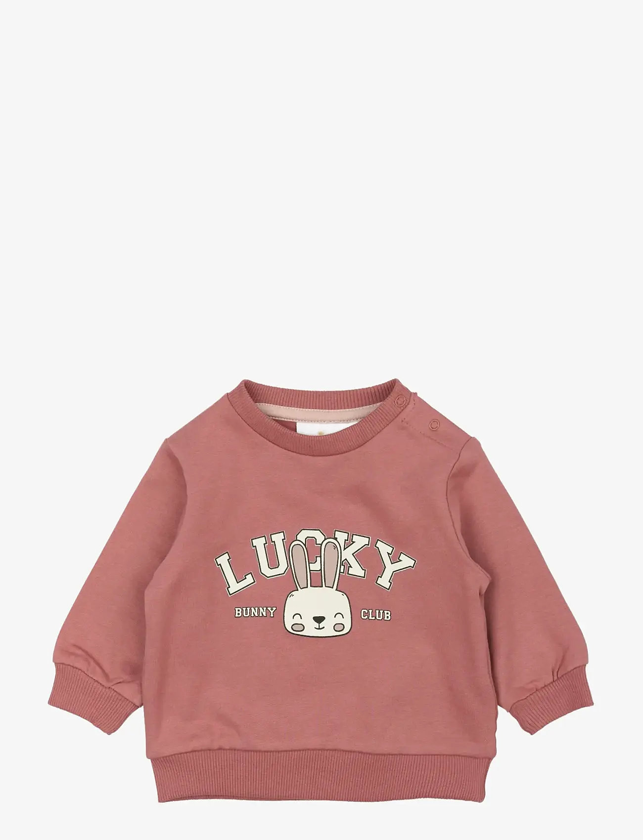 The New - TNSBPheba Sweatshirt - sweatshirts - withered rose - 1