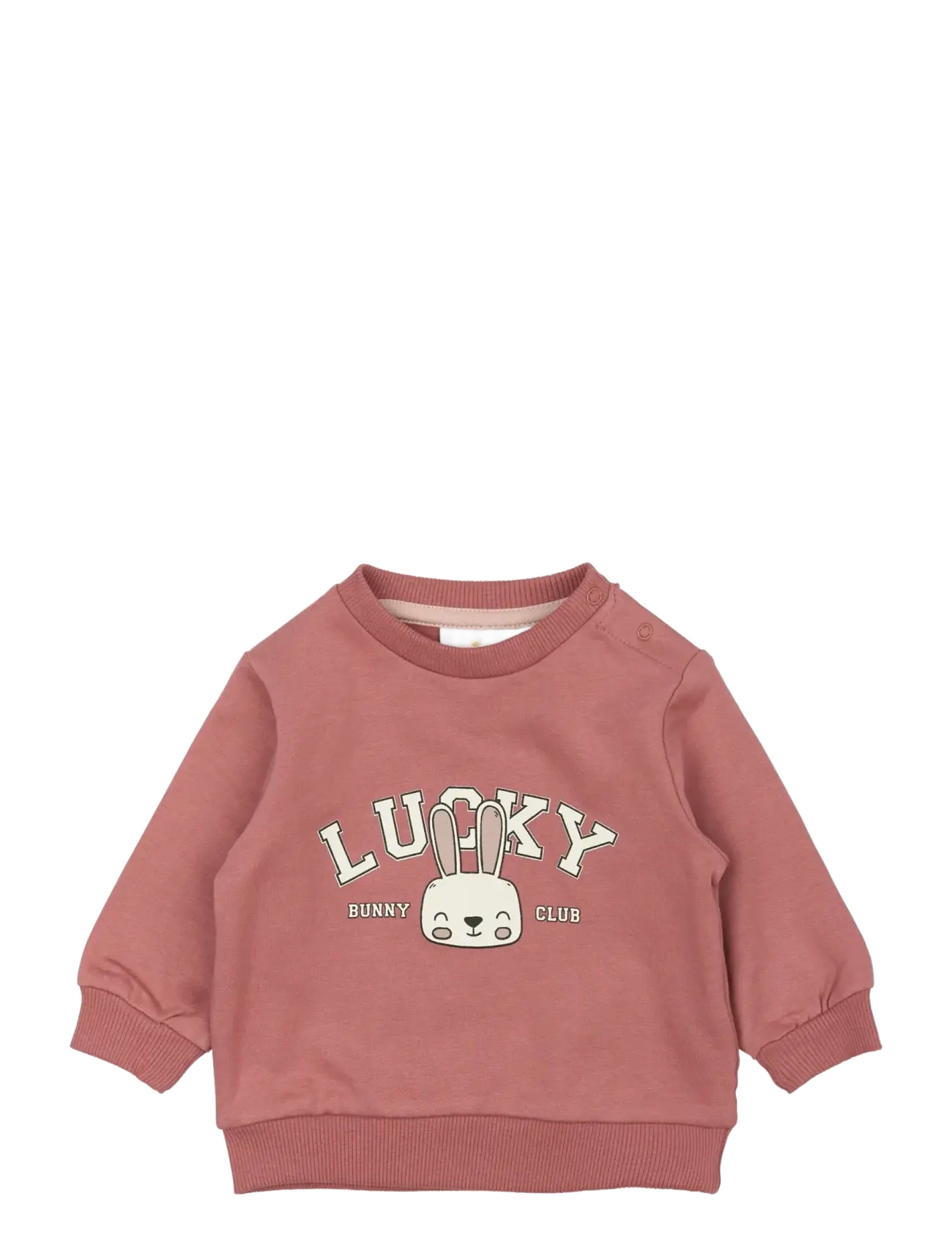 The New TNSBPheba Sweatshirt - Vintererbjudanden - WITHERED ROSE / pink/rose