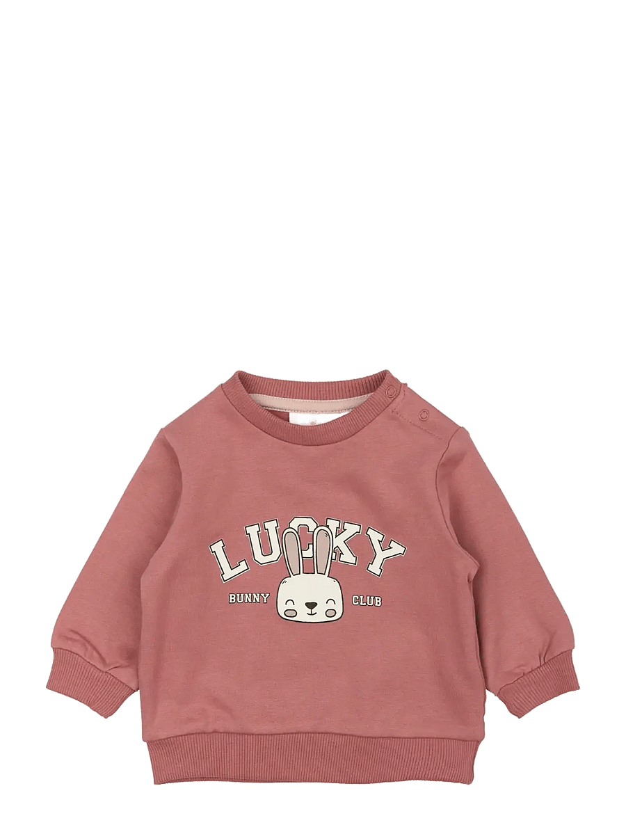 The New - TNSBPheba Sweatshirt - joggingpeysur - withered rose - 1