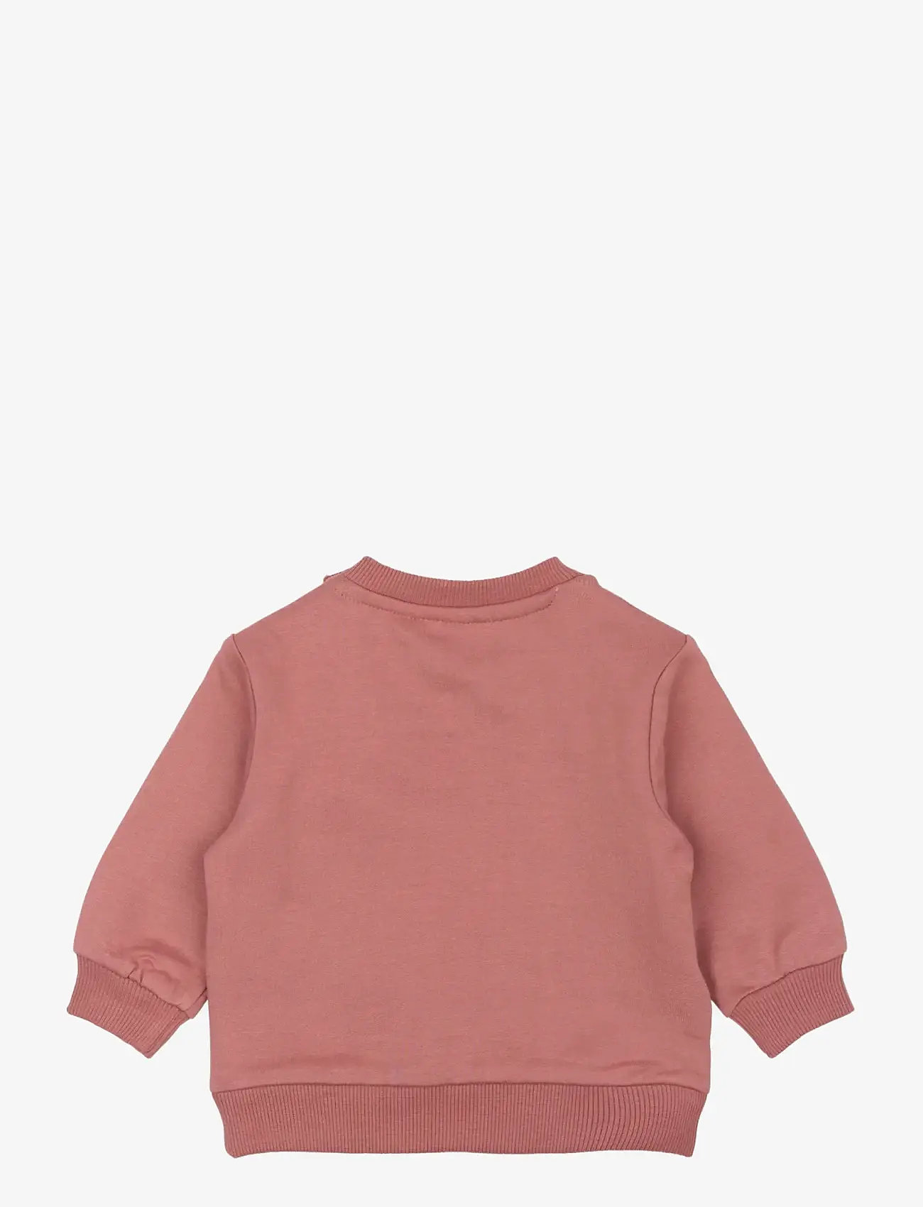 The New - TNSBPheba Sweatshirt - sweatshirts - withered rose - 2