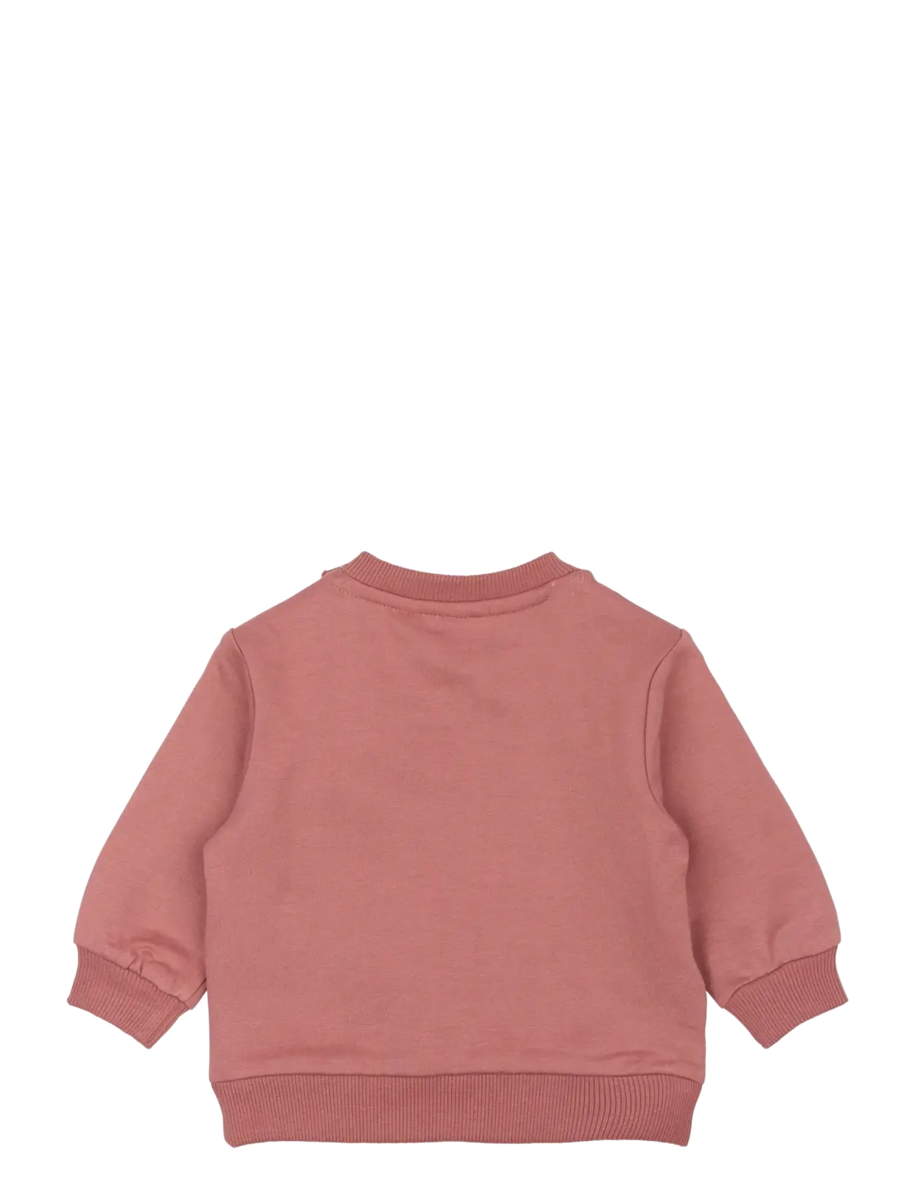 The New - TNSBPheba Sweatshirt - bluzy - withered rose - 2