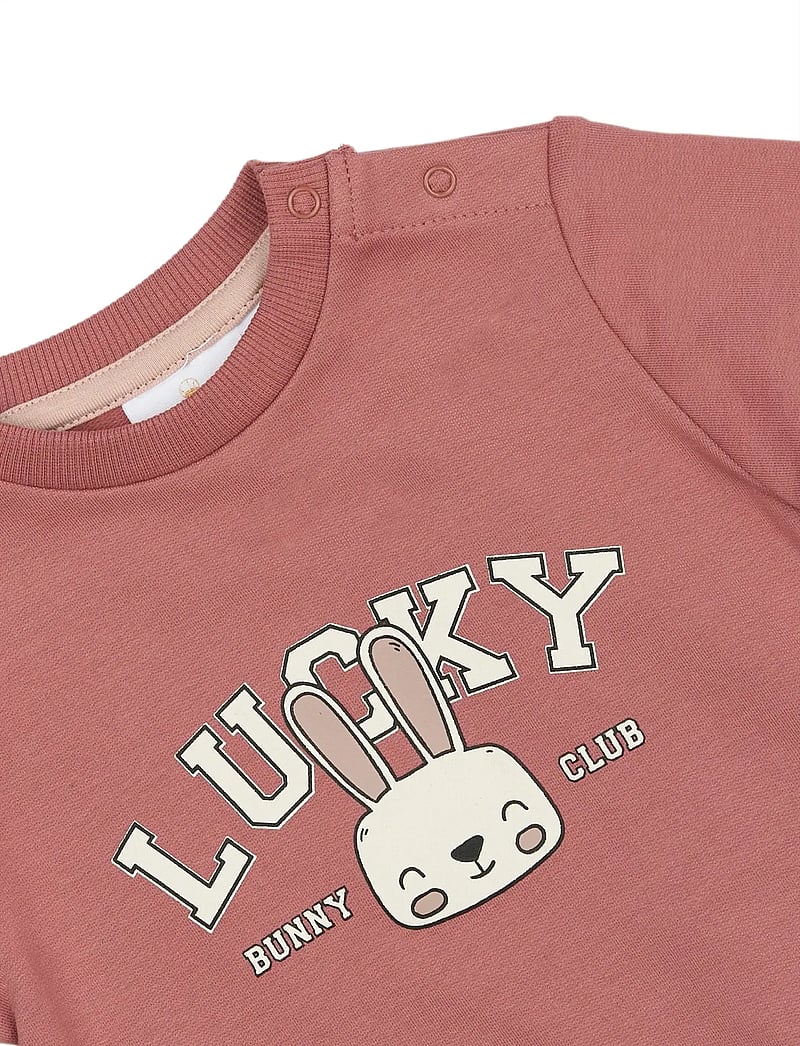 The New - TNSBPheba Sweatshirt - sweatshirts - withered rose - 3