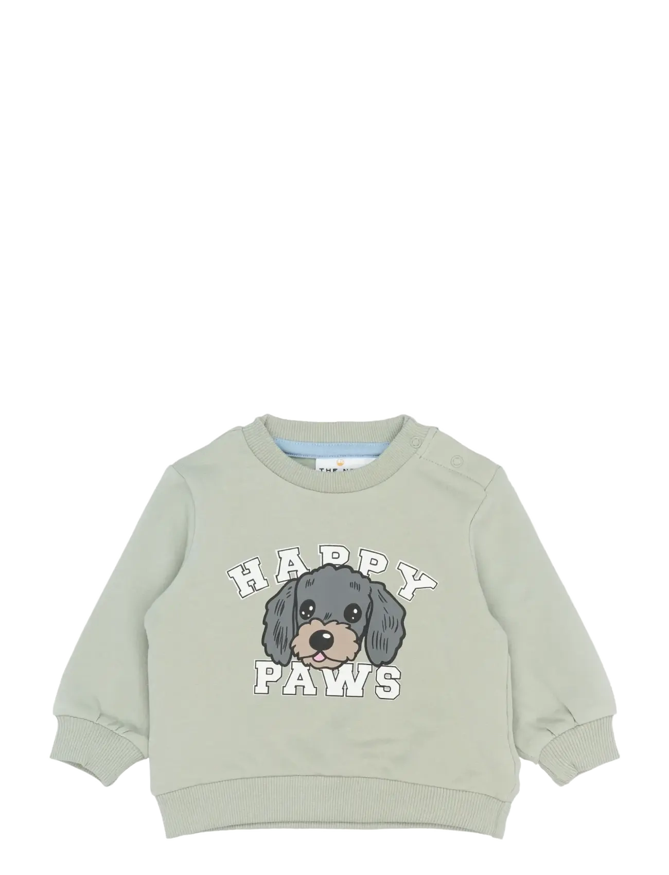 The New TNSBSacarias Sweatshirt - Oberteile - AQUA GRAY / green