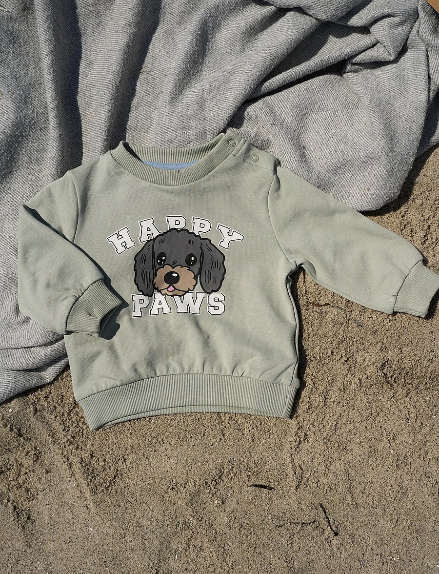 The New - TNSBSacarias Sweatshirt - sweatshirts - aqua gray - 0