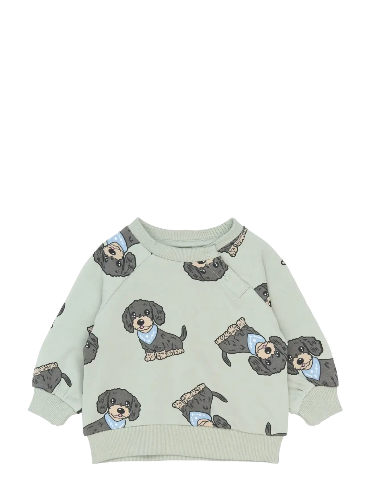 The New TNSBSofus Sweatshirt - Baby 0-2 år - AQUA GRAY AOP / green