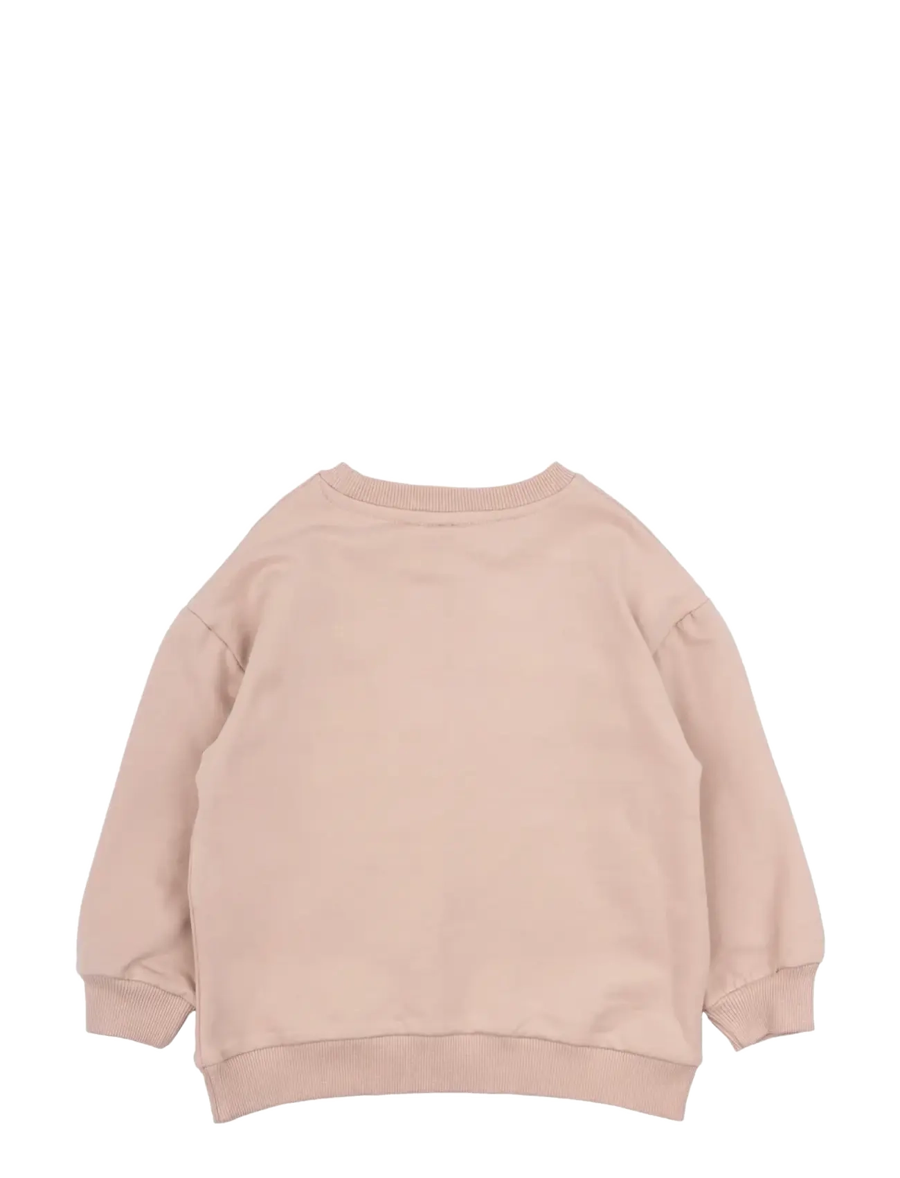 The New - TNSTLegend Uni Sweatshirt - sweatshirts - adobe rose - 1