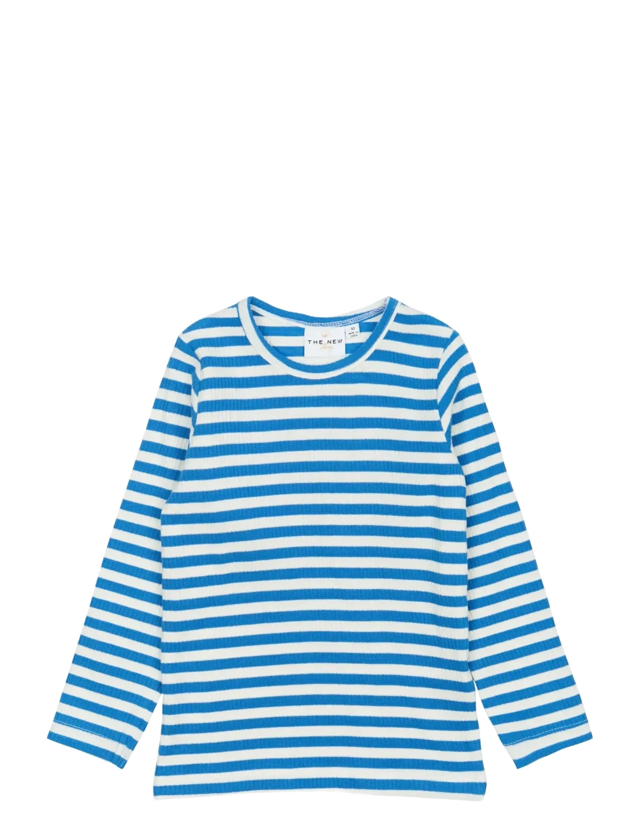 TNSTFro L_S Rib Tee - CAMPANULA STRIPED