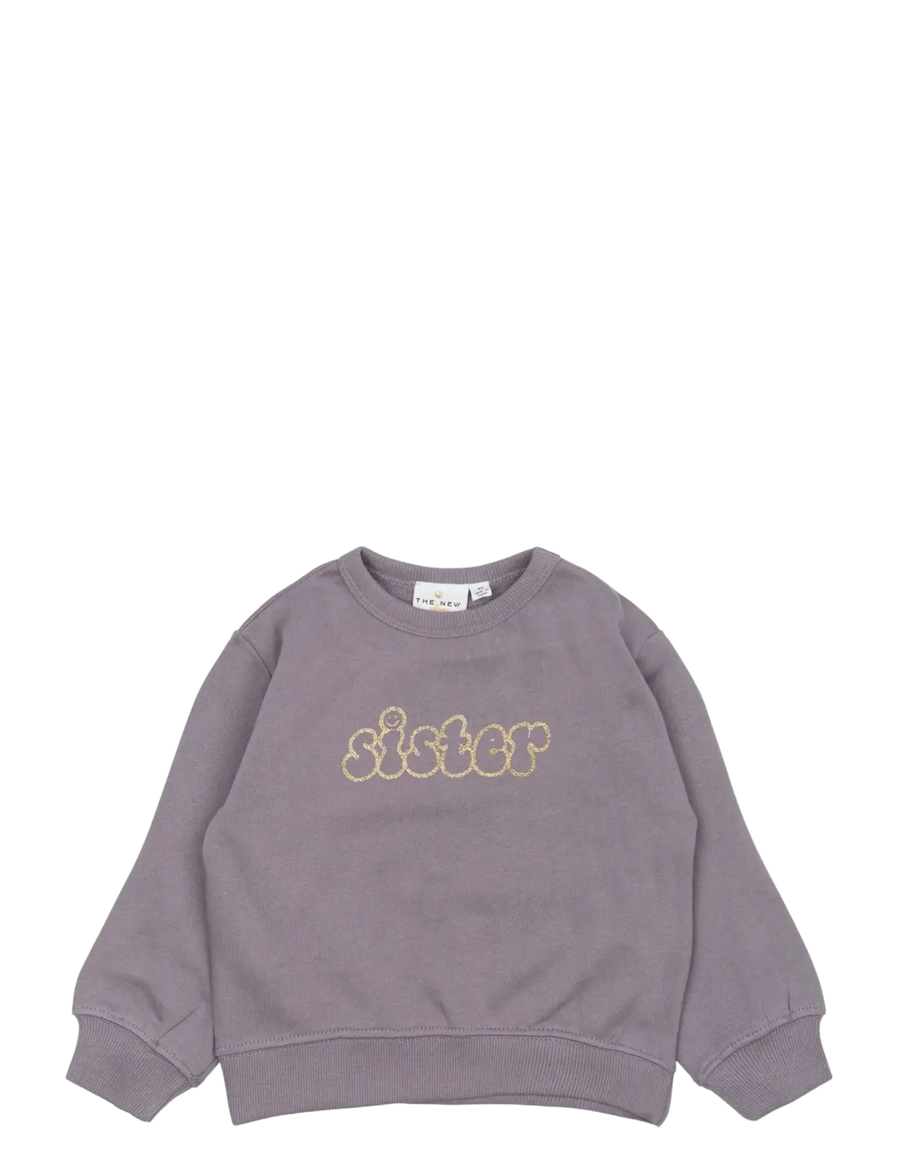 The New TNSTPauletta OS Sweatshirt - Overdele - GRAY RIDGE / purple