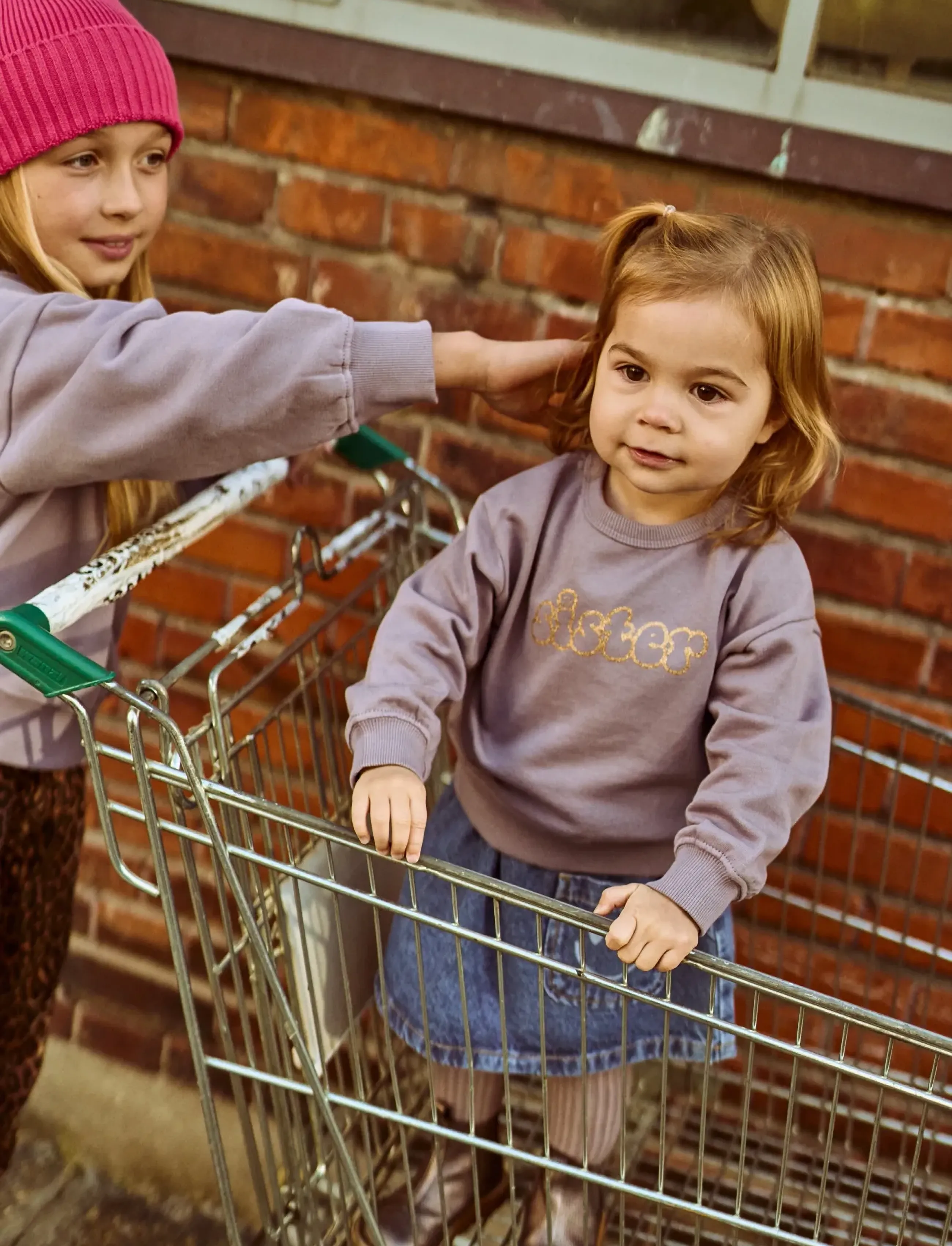 The New TNSTPauletta OS Sweatshirt - Sweatshirts - GRAY RIDGE / purple