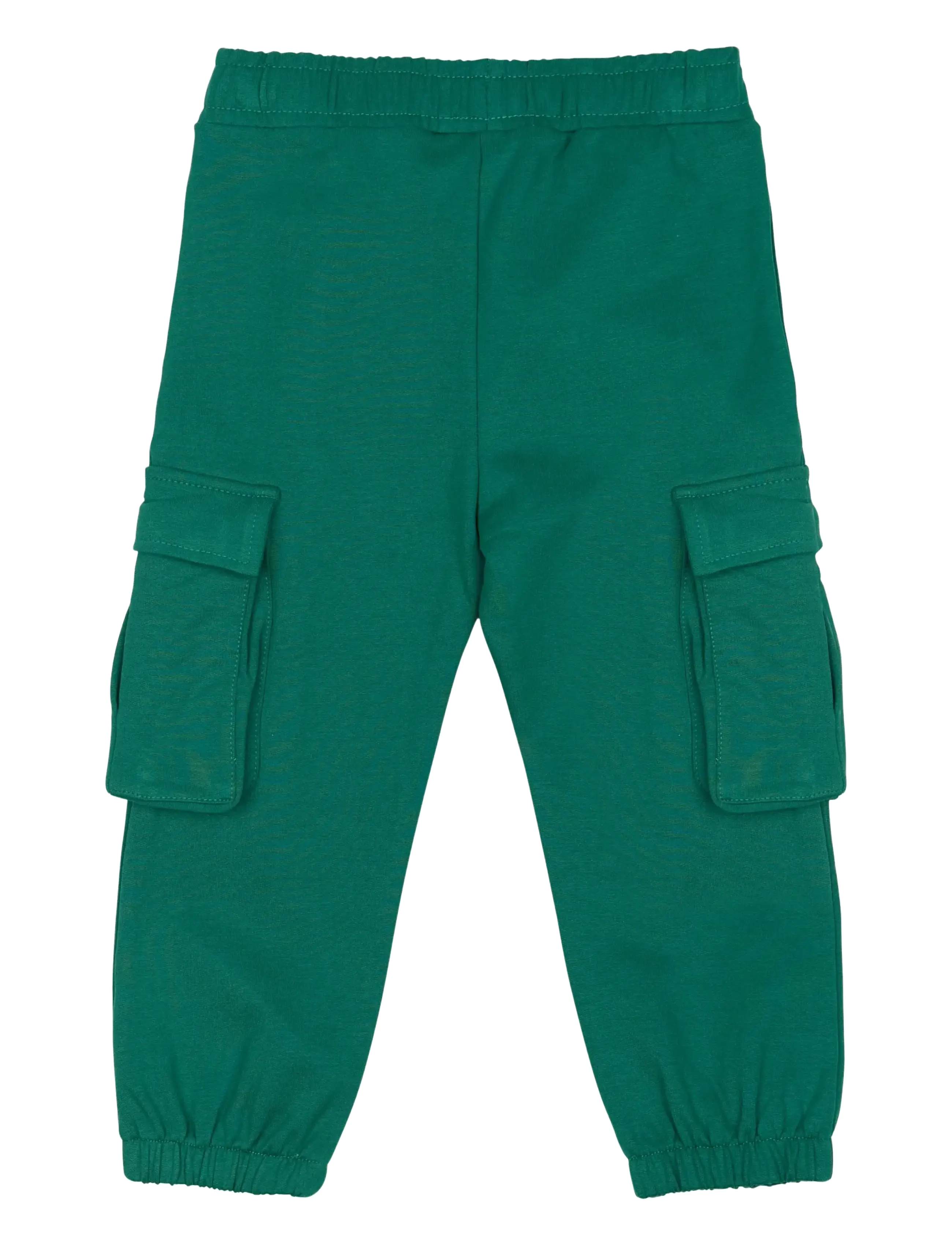 The New - TNSTLegend Cargo Sweatpants - dressipüksid - alpine green - 1