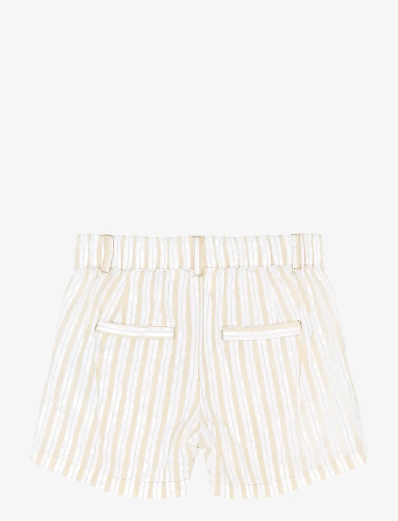 The New - TNSTSmitty Shorts - chino lühikesed püksid - humus striped - 2