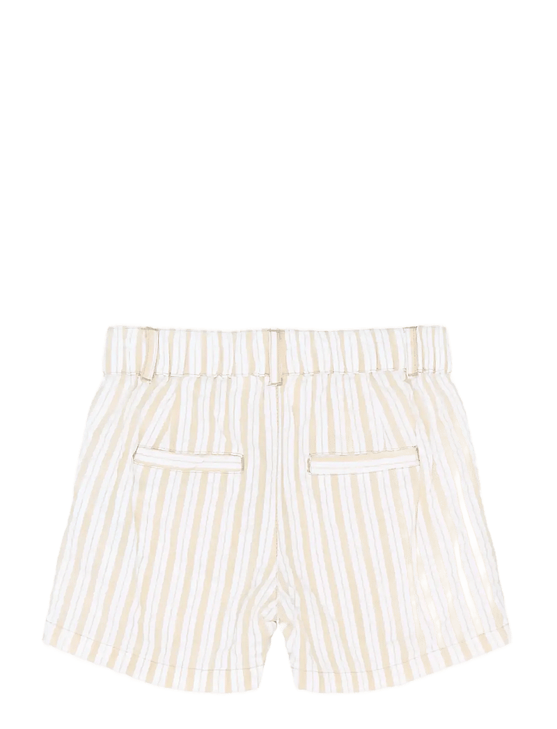 The New - TNSTSmitty Shorts - chino lühikesed püksid - humus striped - 2