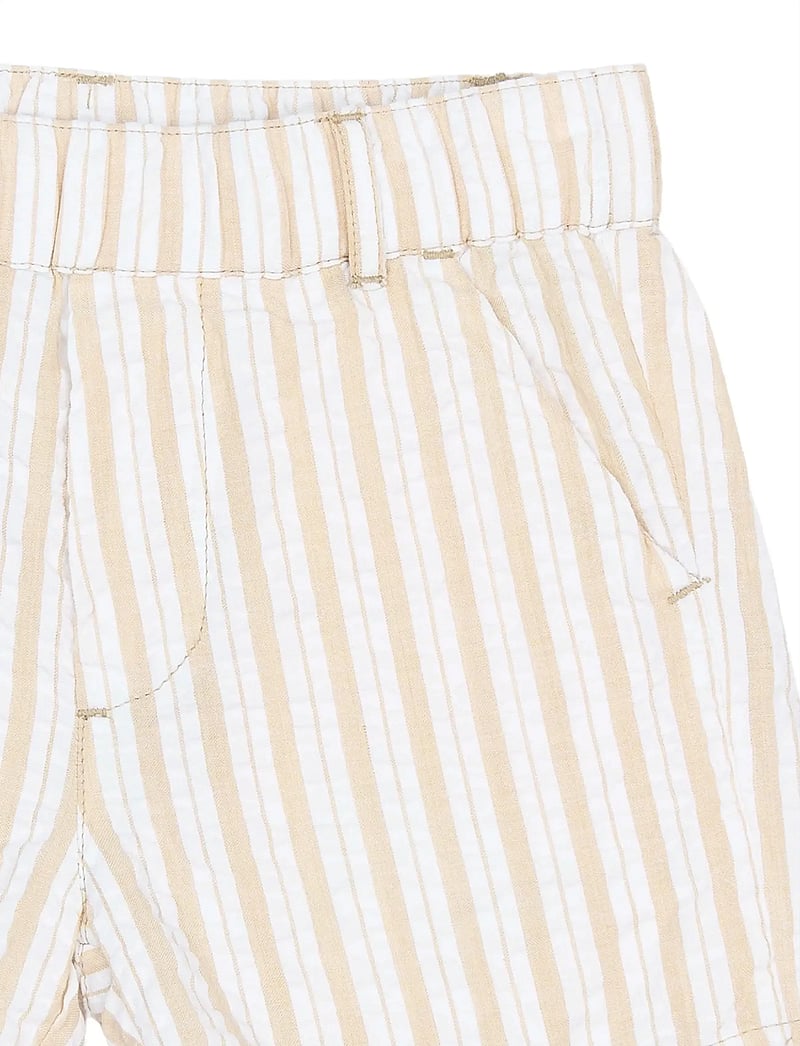The New - TNSTSmitty Shorts - chino lühikesed püksid - humus striped - 3