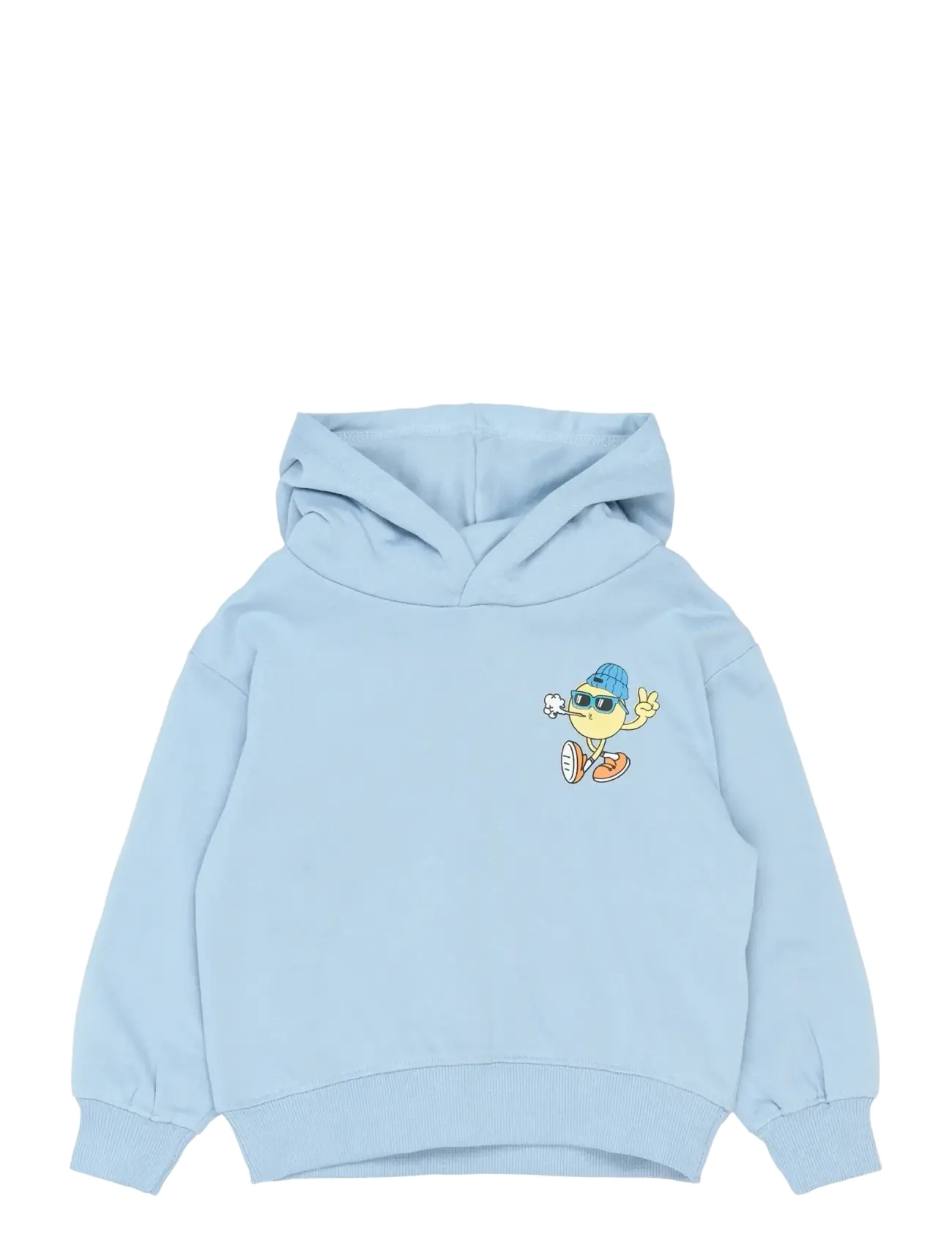 The New TNSTShane OS Hoodie - Överdelar - FOREVER BLUE / blue