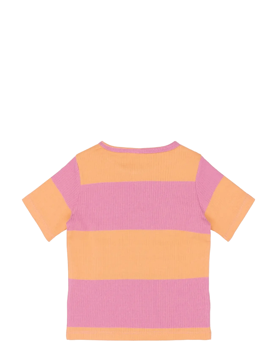 The New - TNSTTori S_S Rib Tee - lühikeste varrukatega t-särgid - cashmere rose striped - 2
