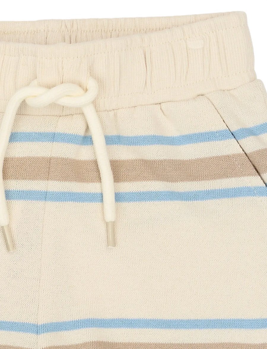The New - TNSTTheodor Shorts - lühikesed dressipüksid - multi striped - 3