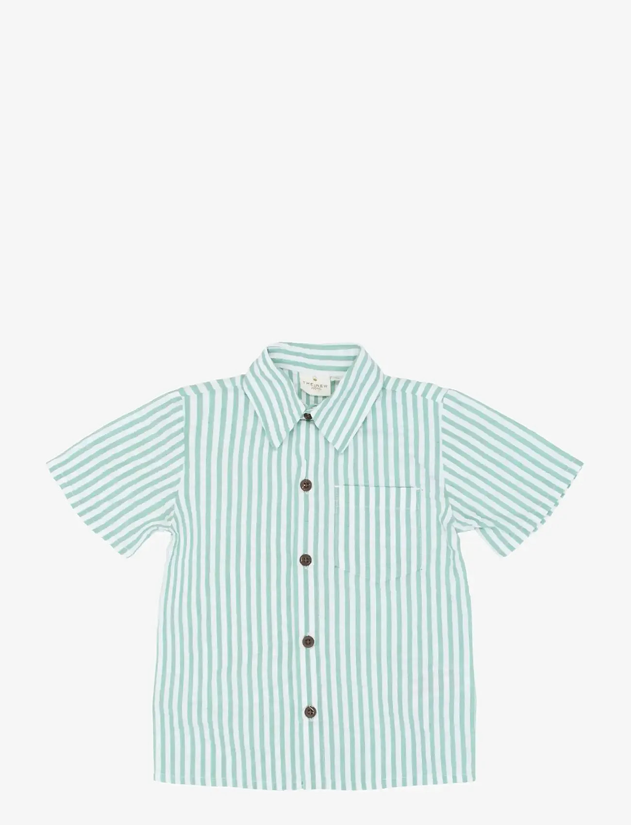 The New - TNSTTate S_S Shirt - kurzärmlige hemden - crÉme de menthe striped - 1