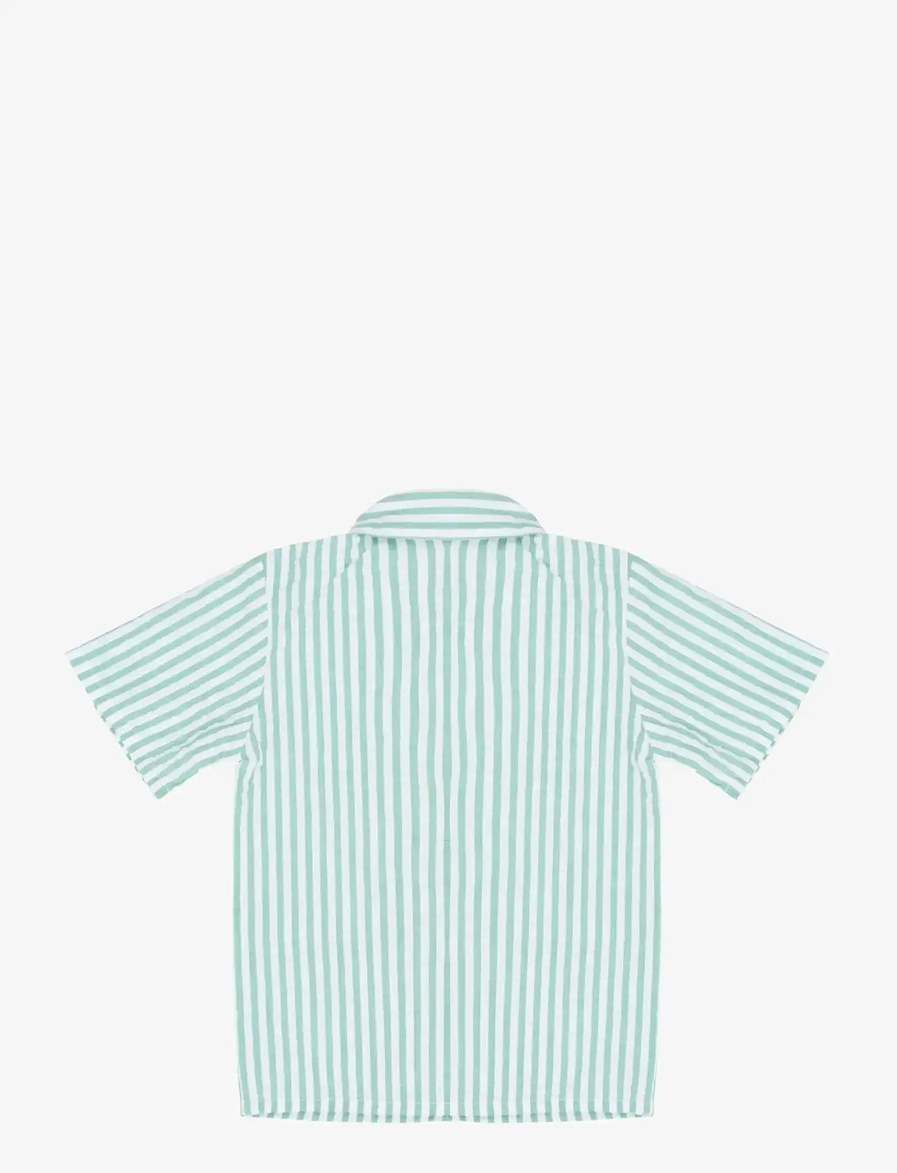 The New - TNSTTate S_S Shirt - kurzärmlige hemden - crÉme de menthe striped - 2
