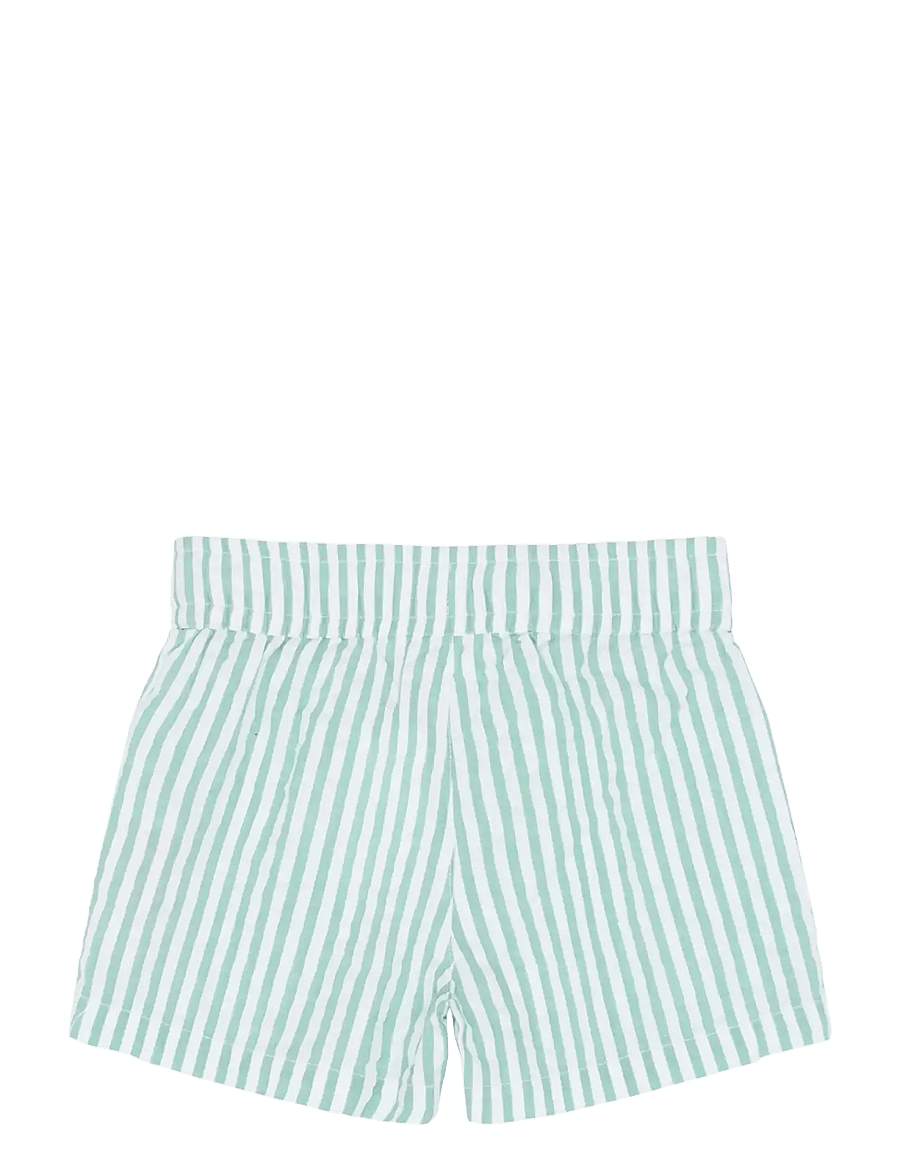 The New - TNSTTate Shorts - lühikesed vabaajapüksid - crÉme de menthe striped - 2