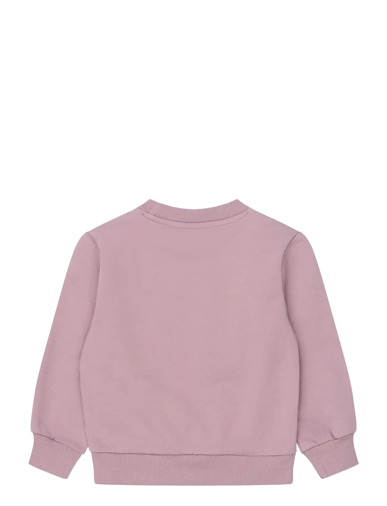The New - TNSTVelika Sweatshirt - sweatshirts - elderberry tn - 2