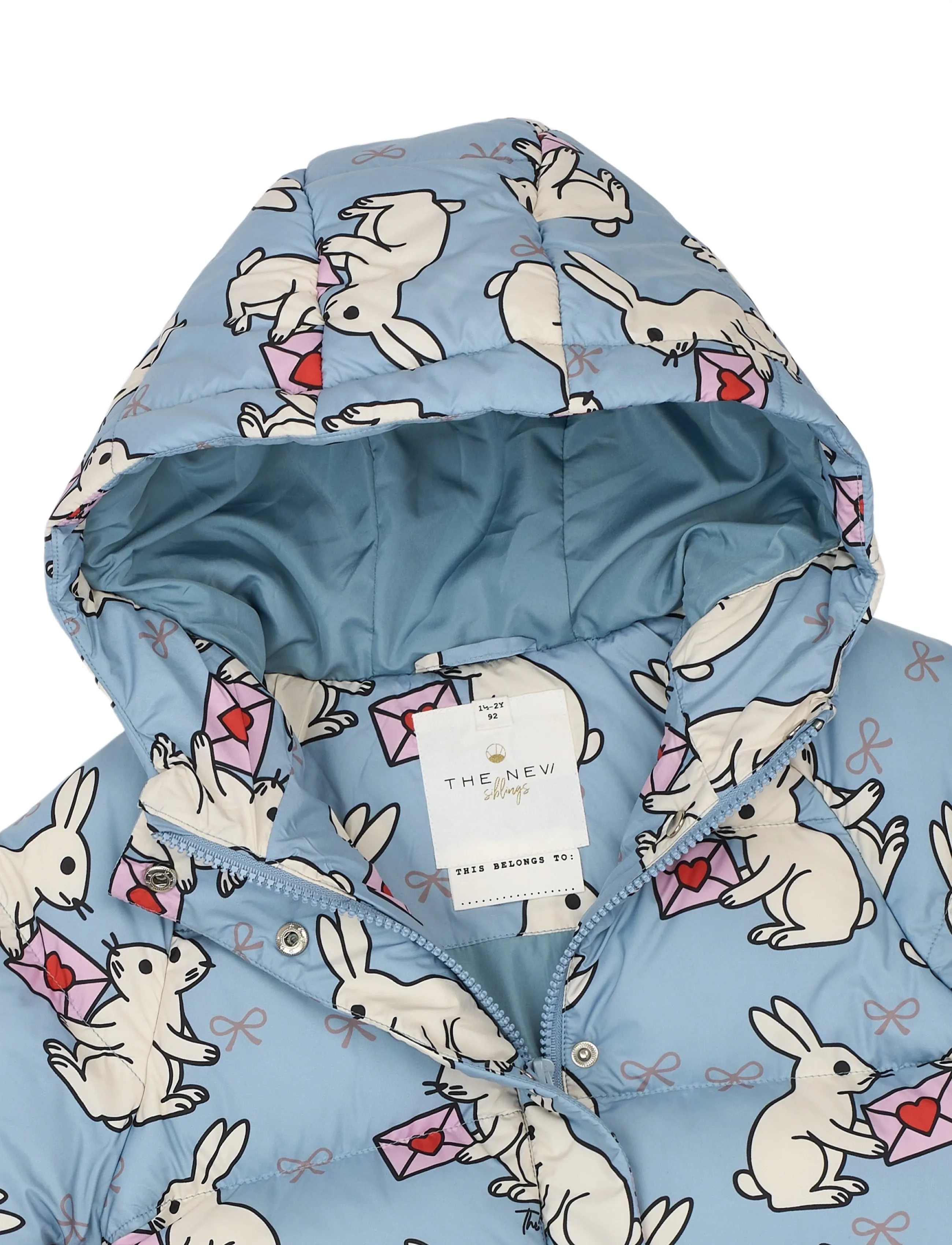 The New - TNSTUmma Puffer Jacket - daunen- und steppjacken - ashley blue aop - 5